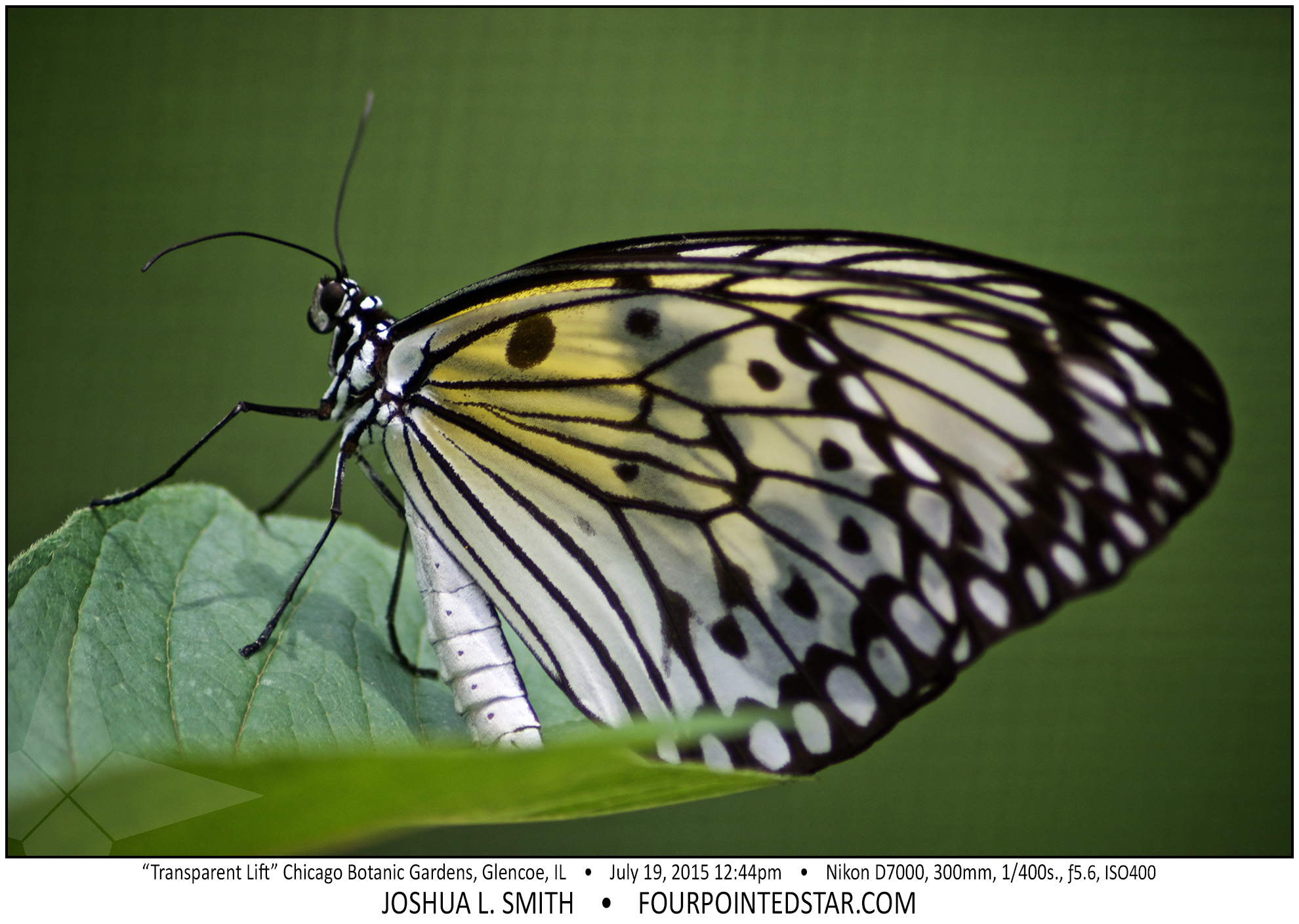 AG7285 150719 124013