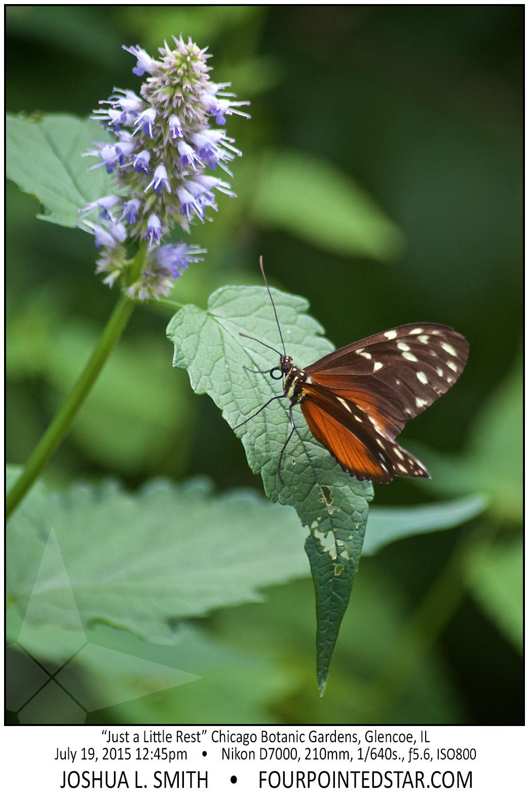 AG7310 150719 124557