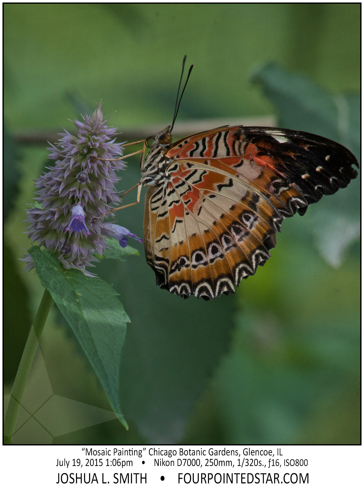 AG7383 150719 130627