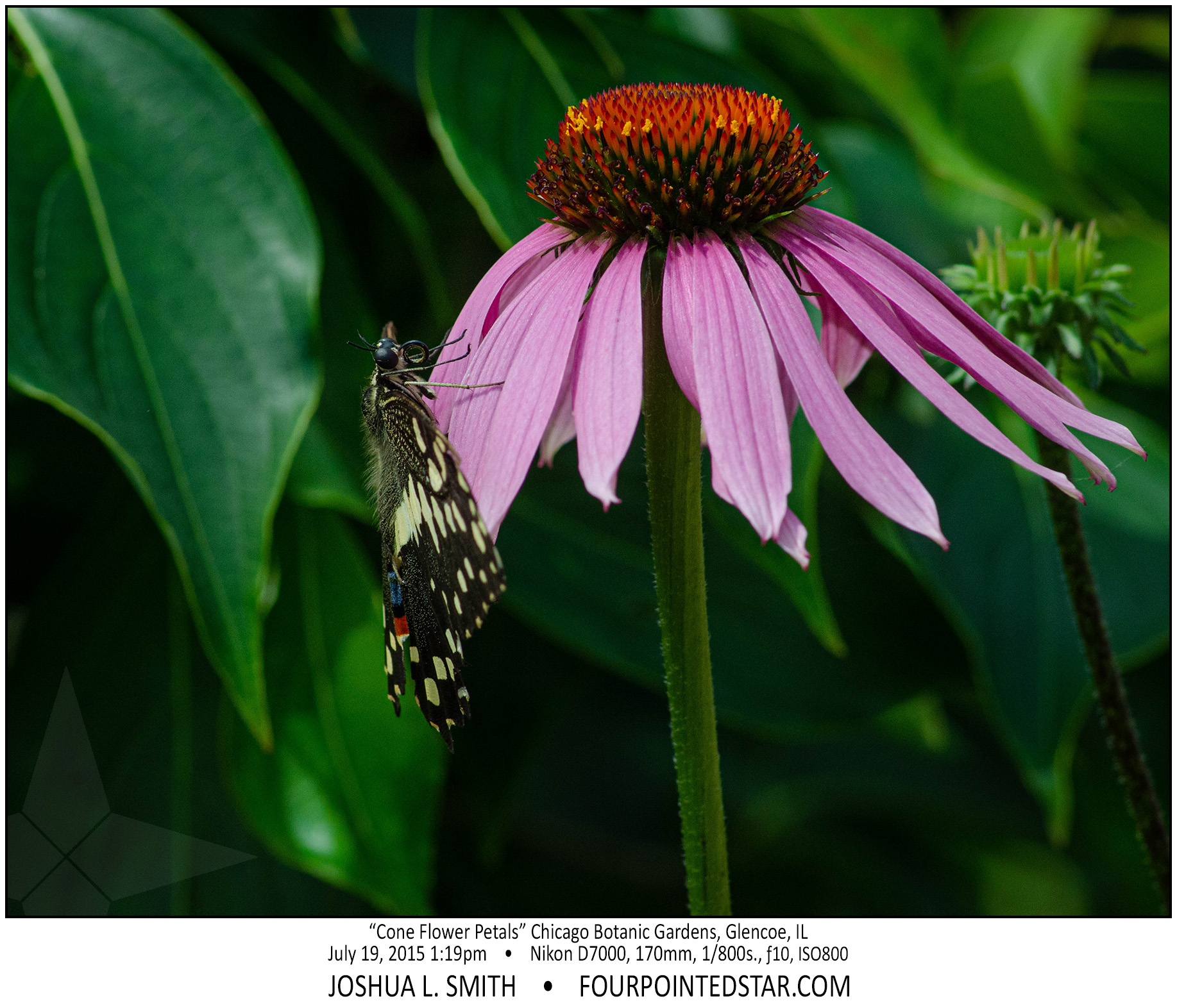 AG7430 150719 131905