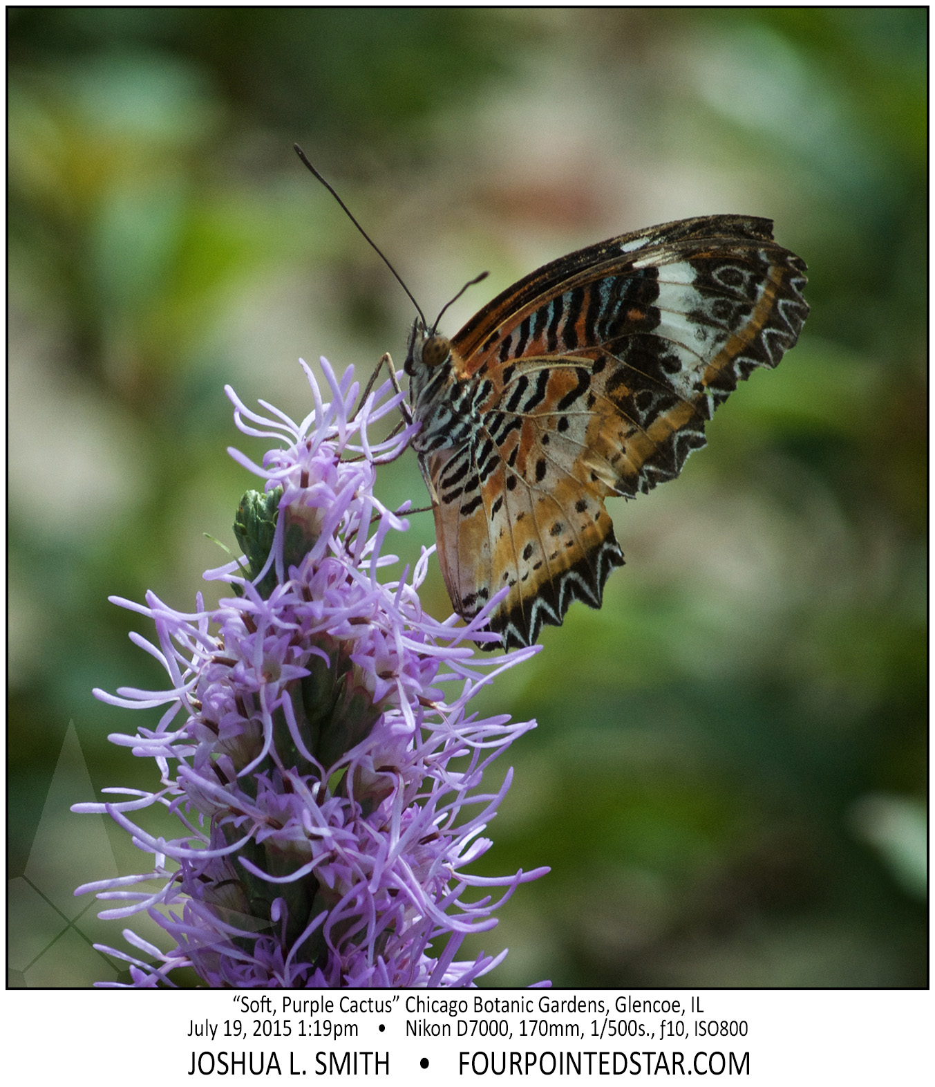 AG7436 150719 131928