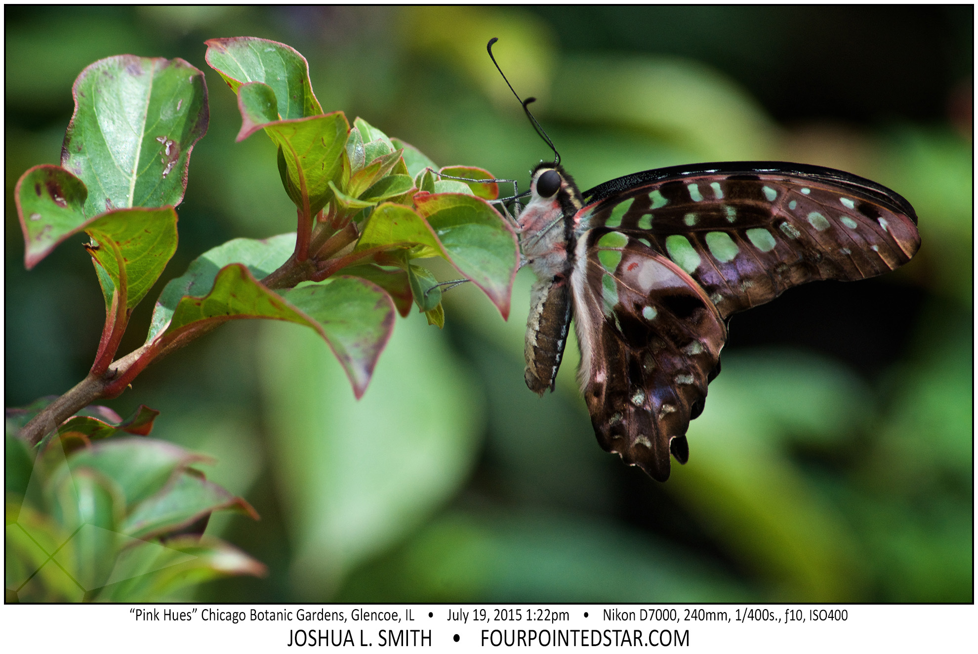 AG7448 150719 132229