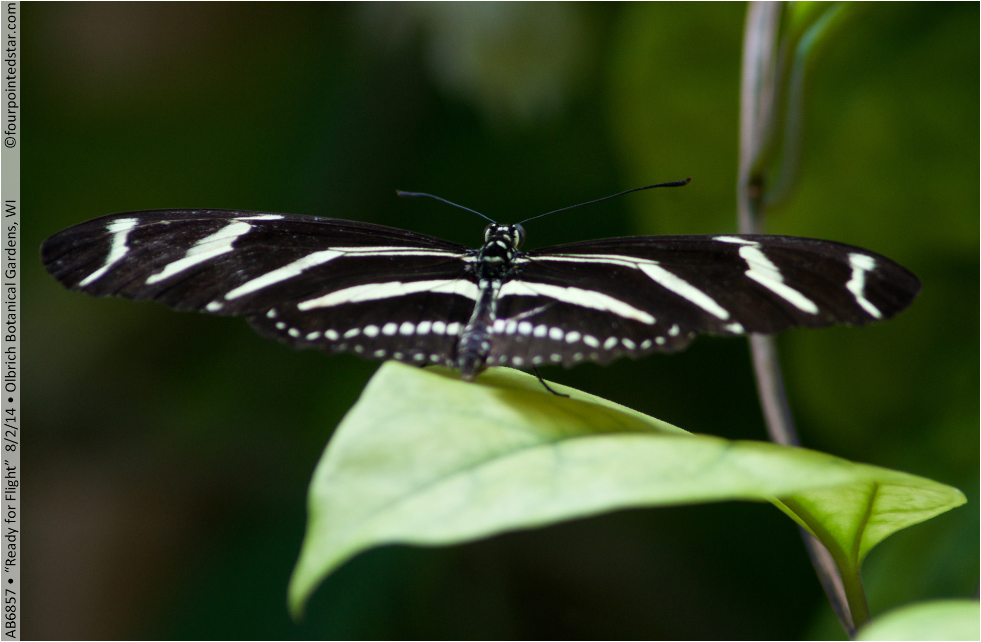 AB6857 140802 132422