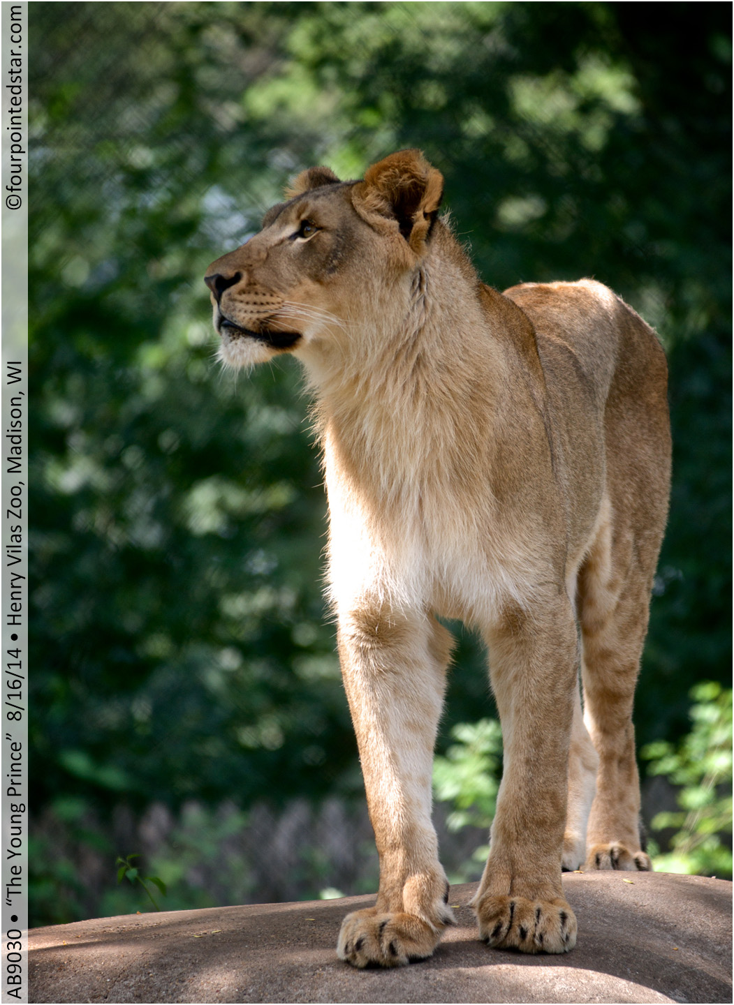 AB9030 140816 105450