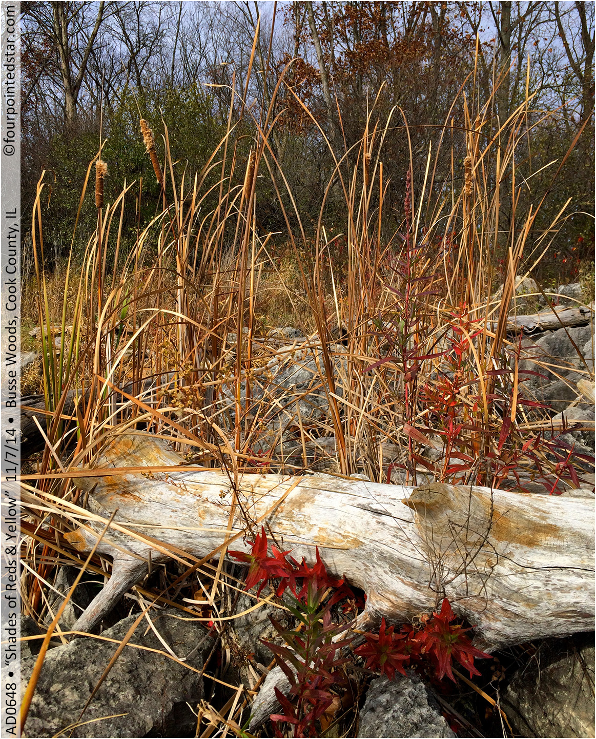 AD0648 141107 124802