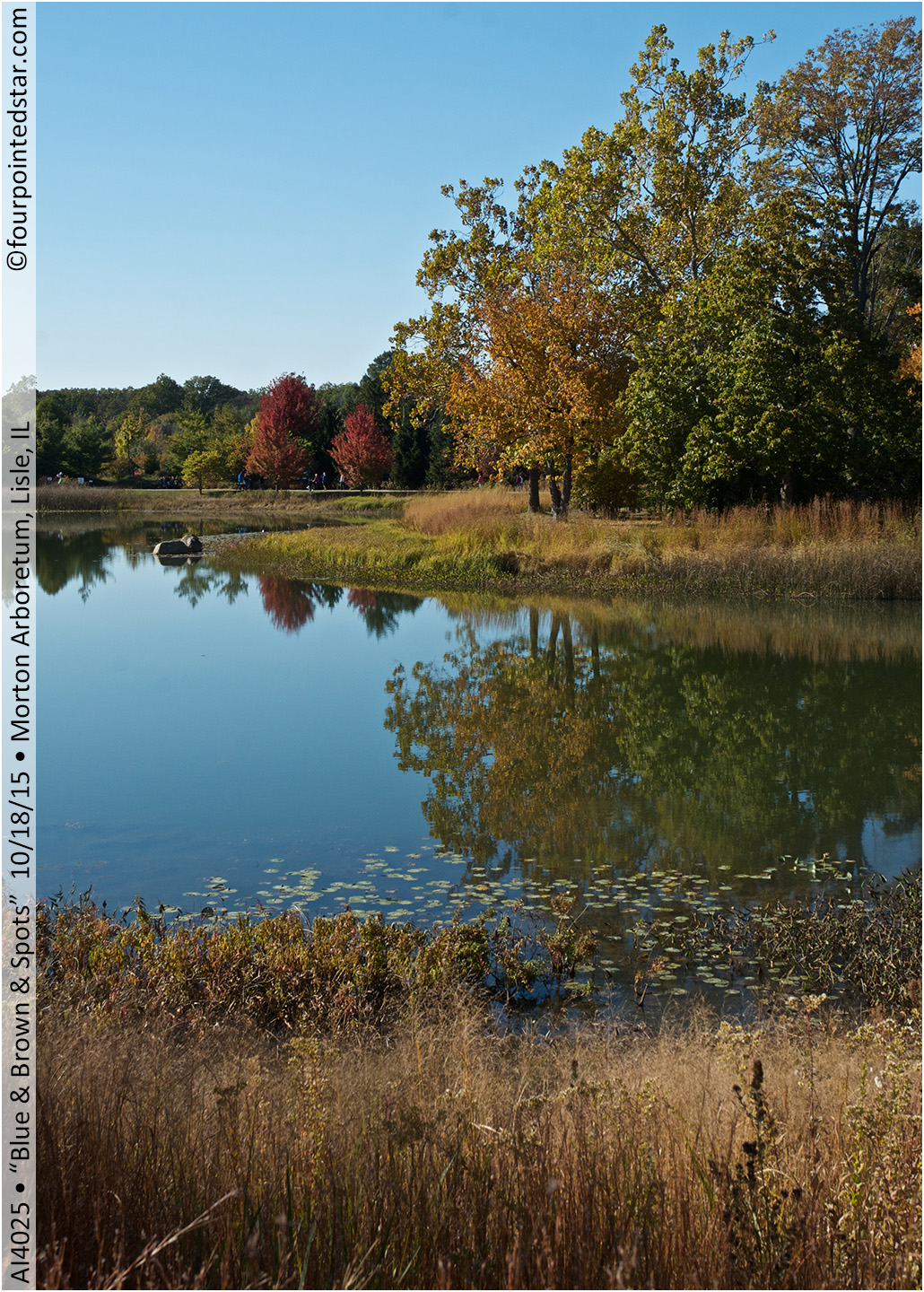 AI4025 151018 145551