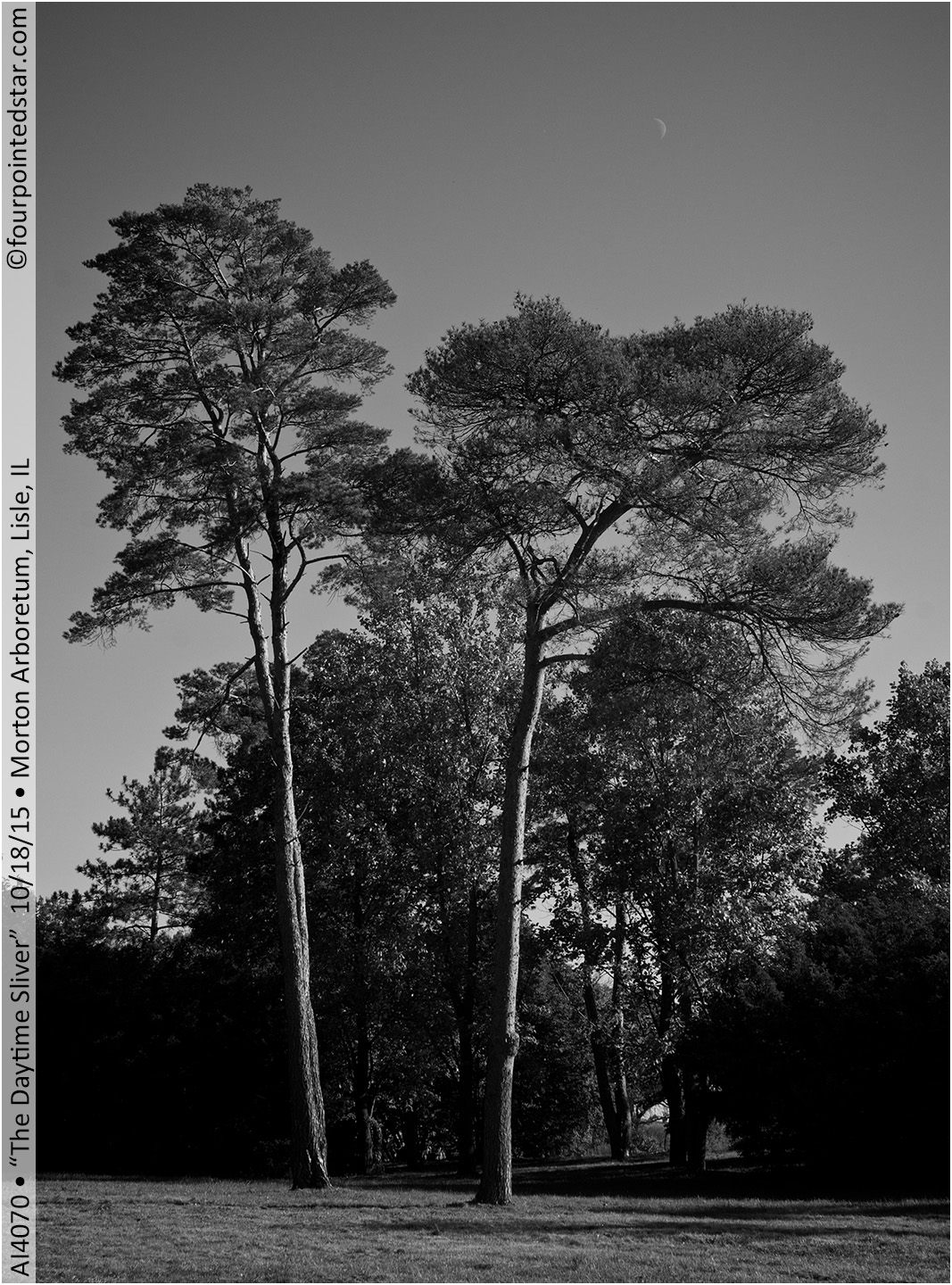 AI4070 151018 151657