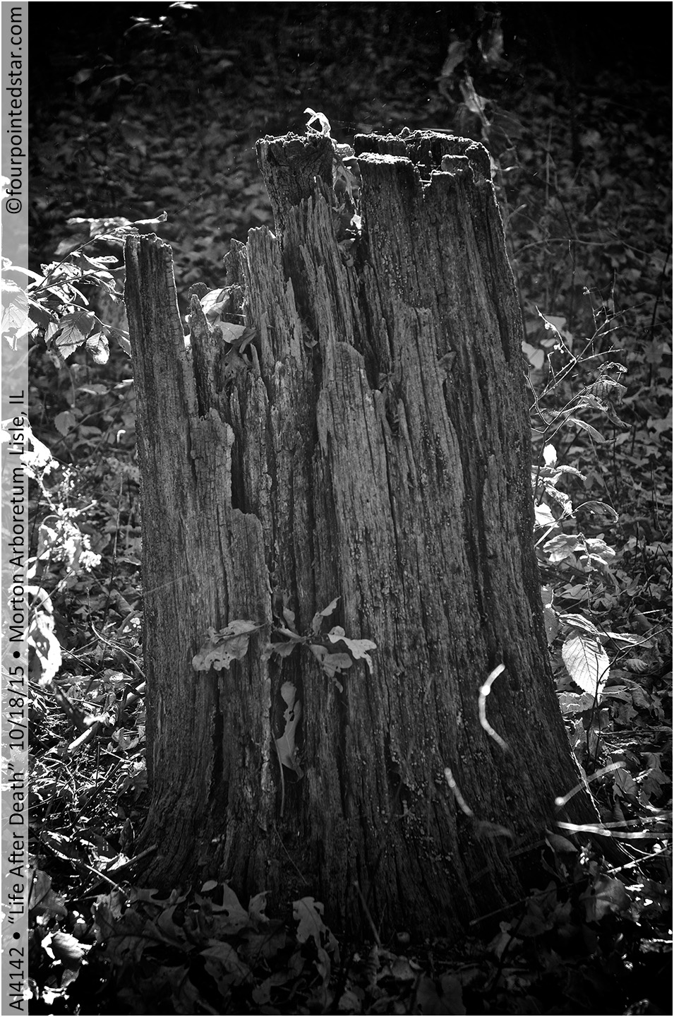 AI4142 151018 162700