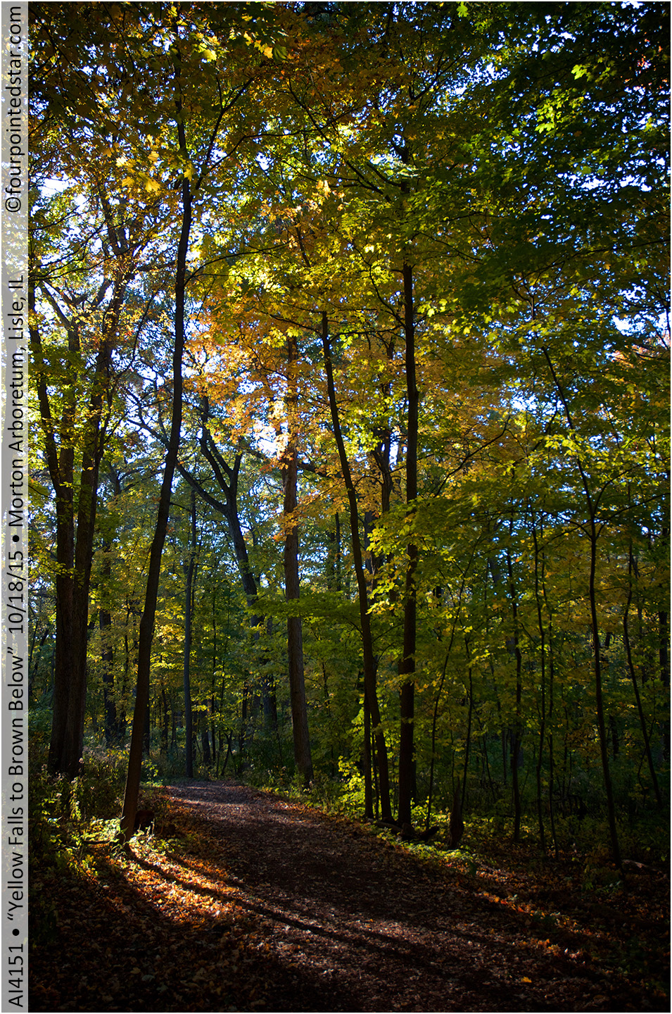 AI4151 151018 162951