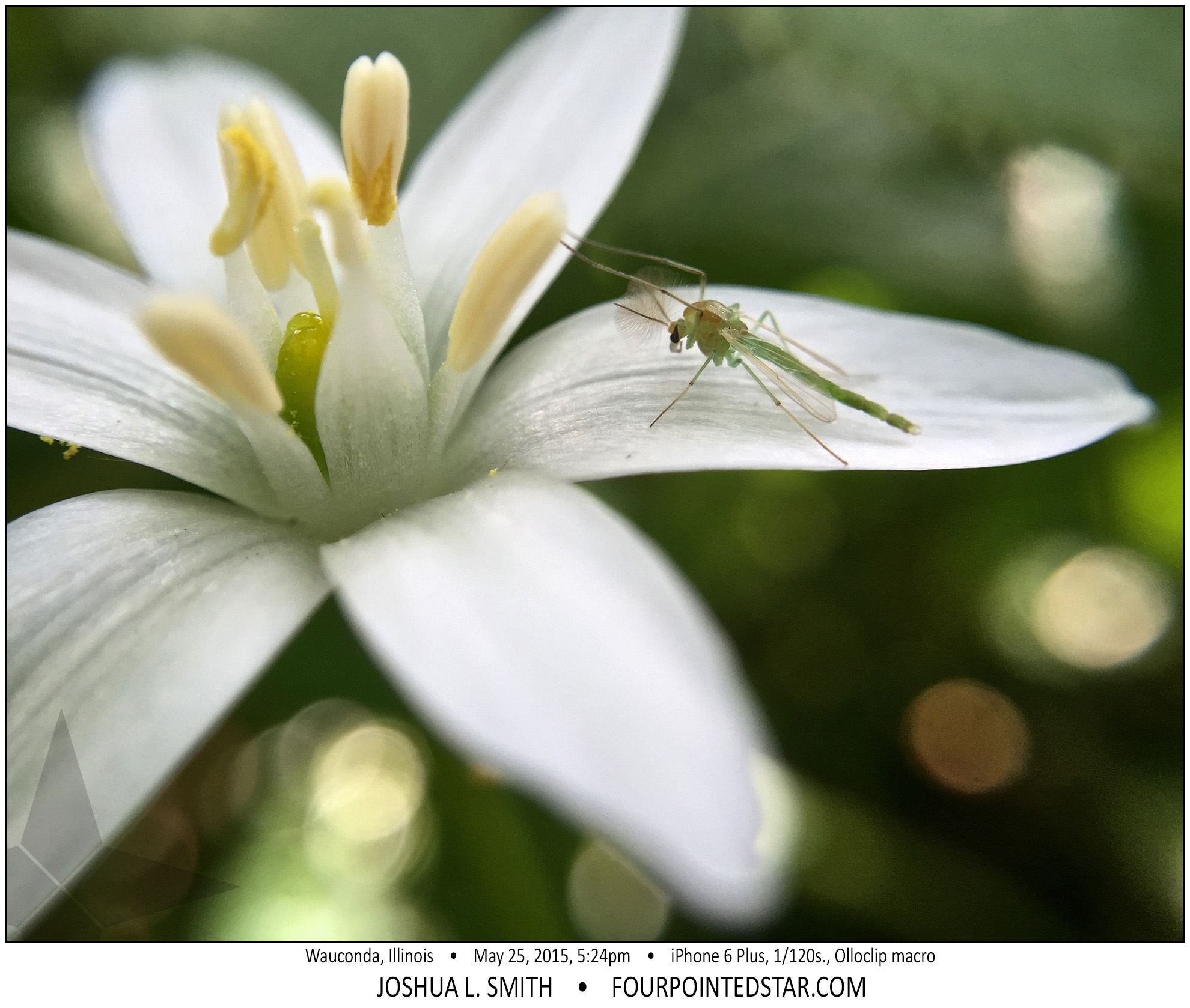 ah9723-150525-172432