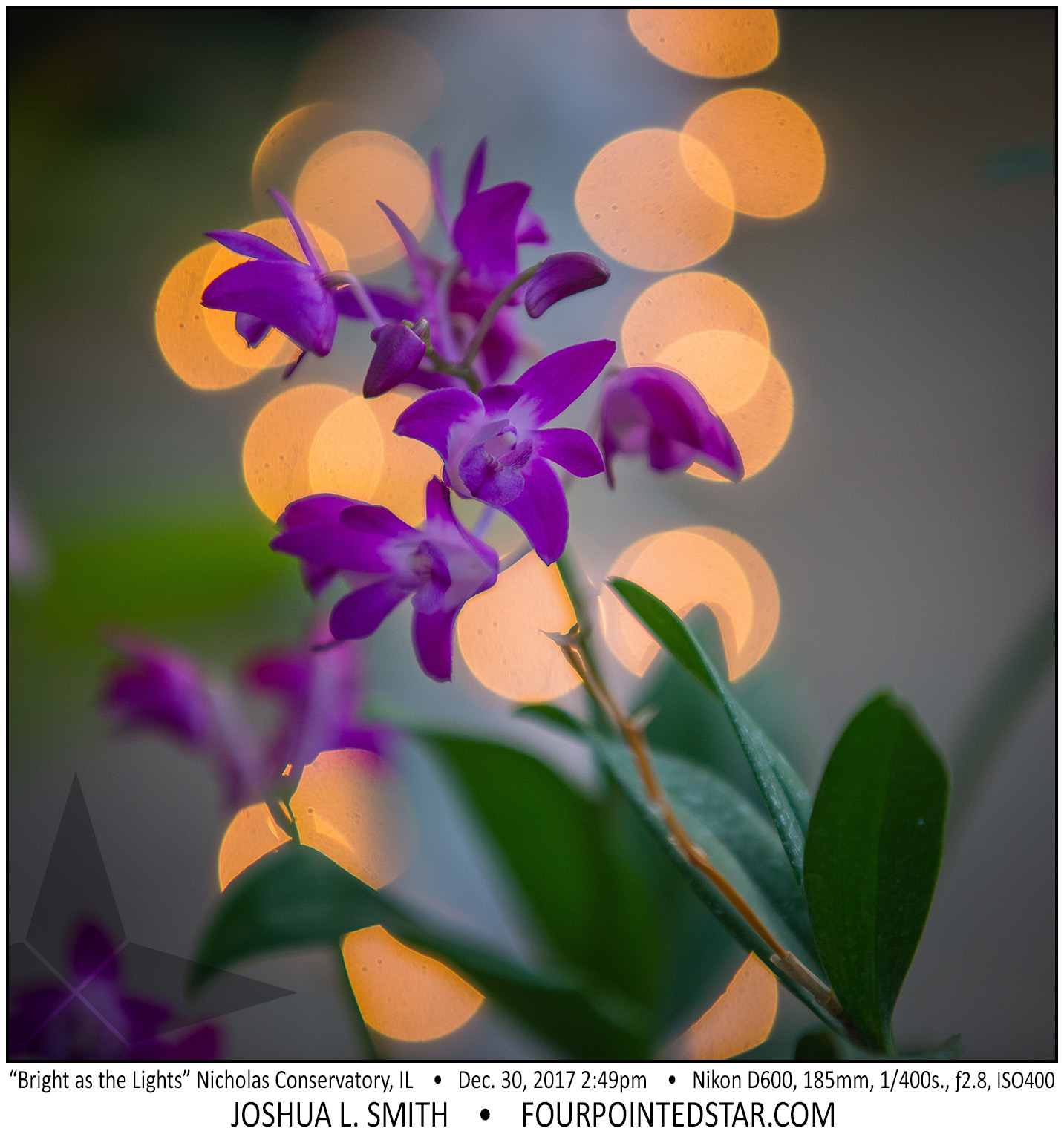 AT6141 171230 144938