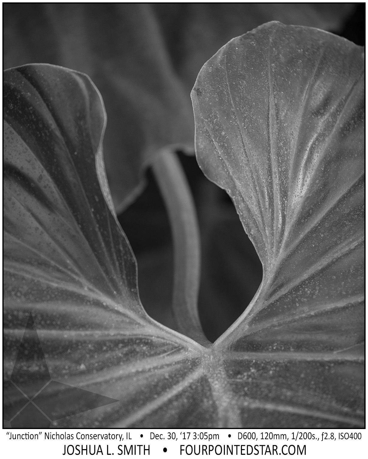 AT6214 171230 150519