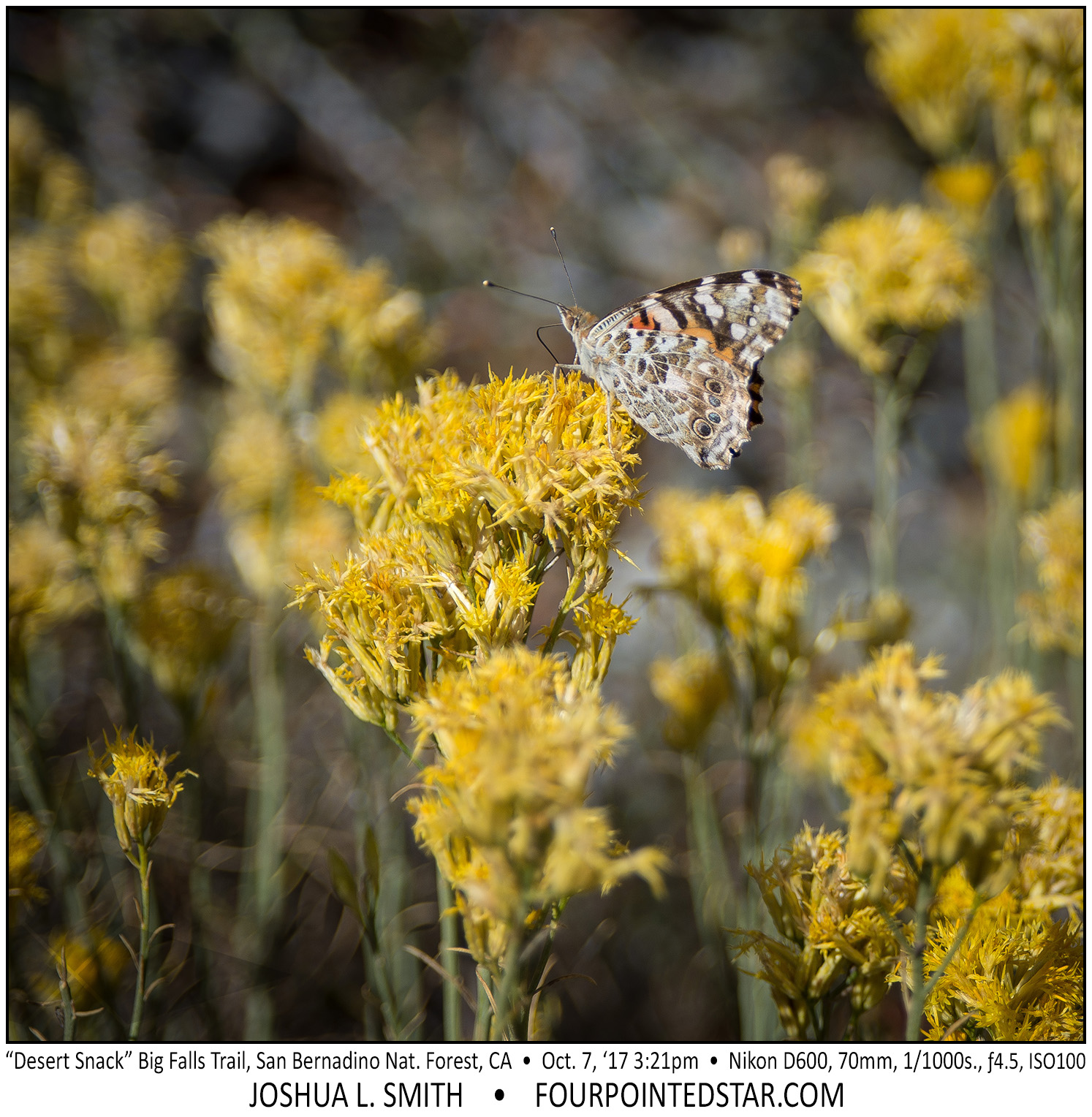 AT2890 171007 163659