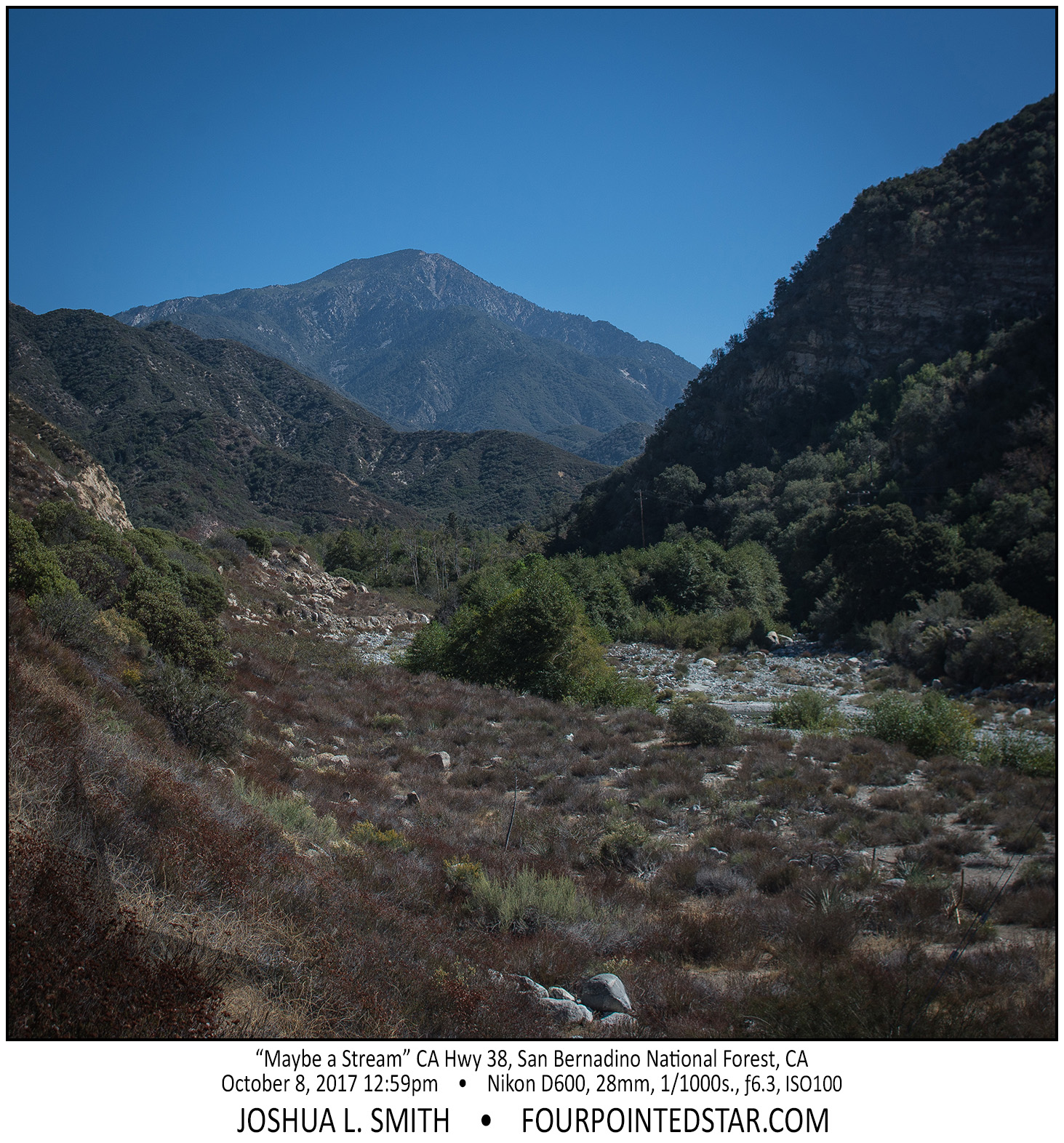 AT2981 171008 125937