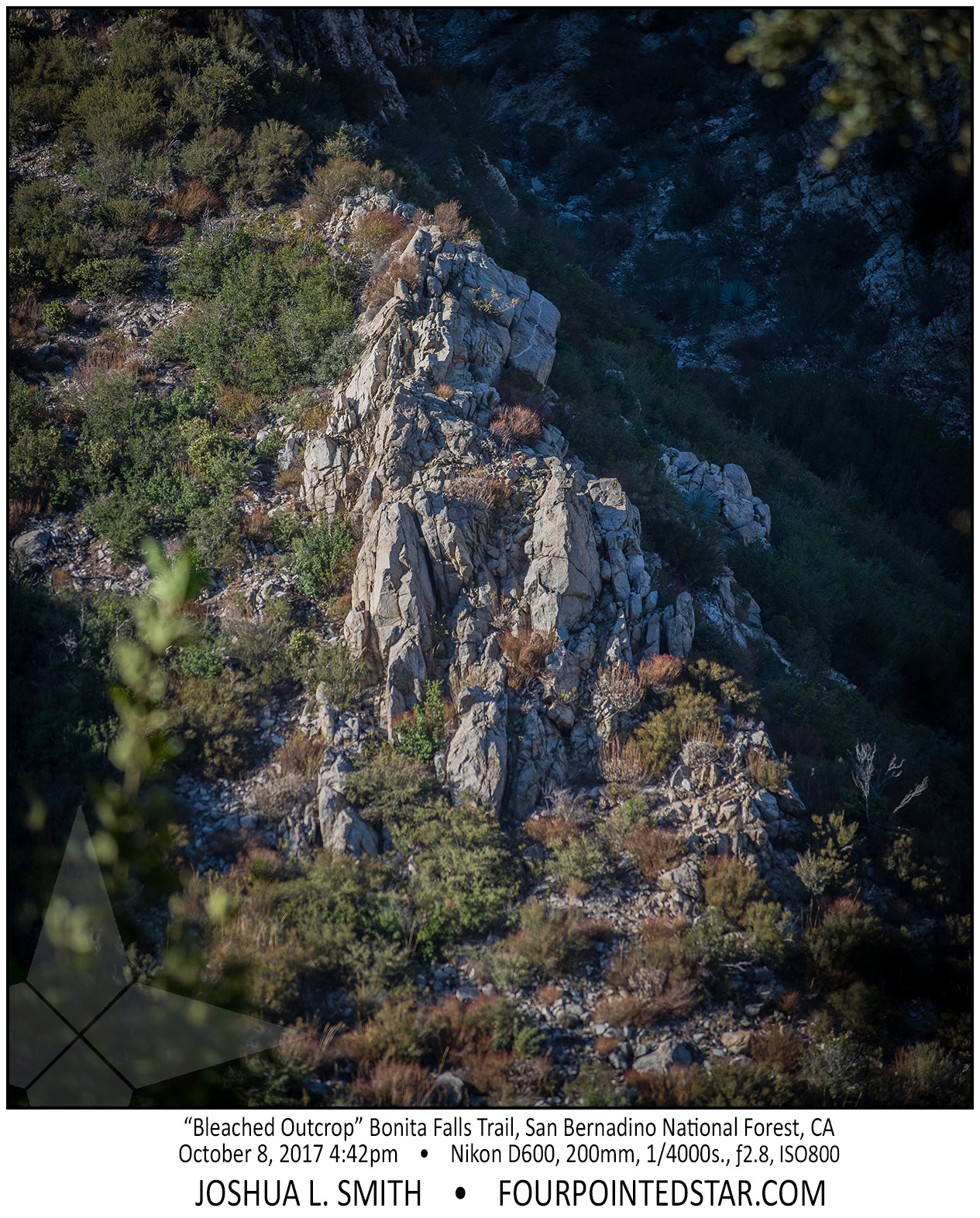 AT3449 171008 164250