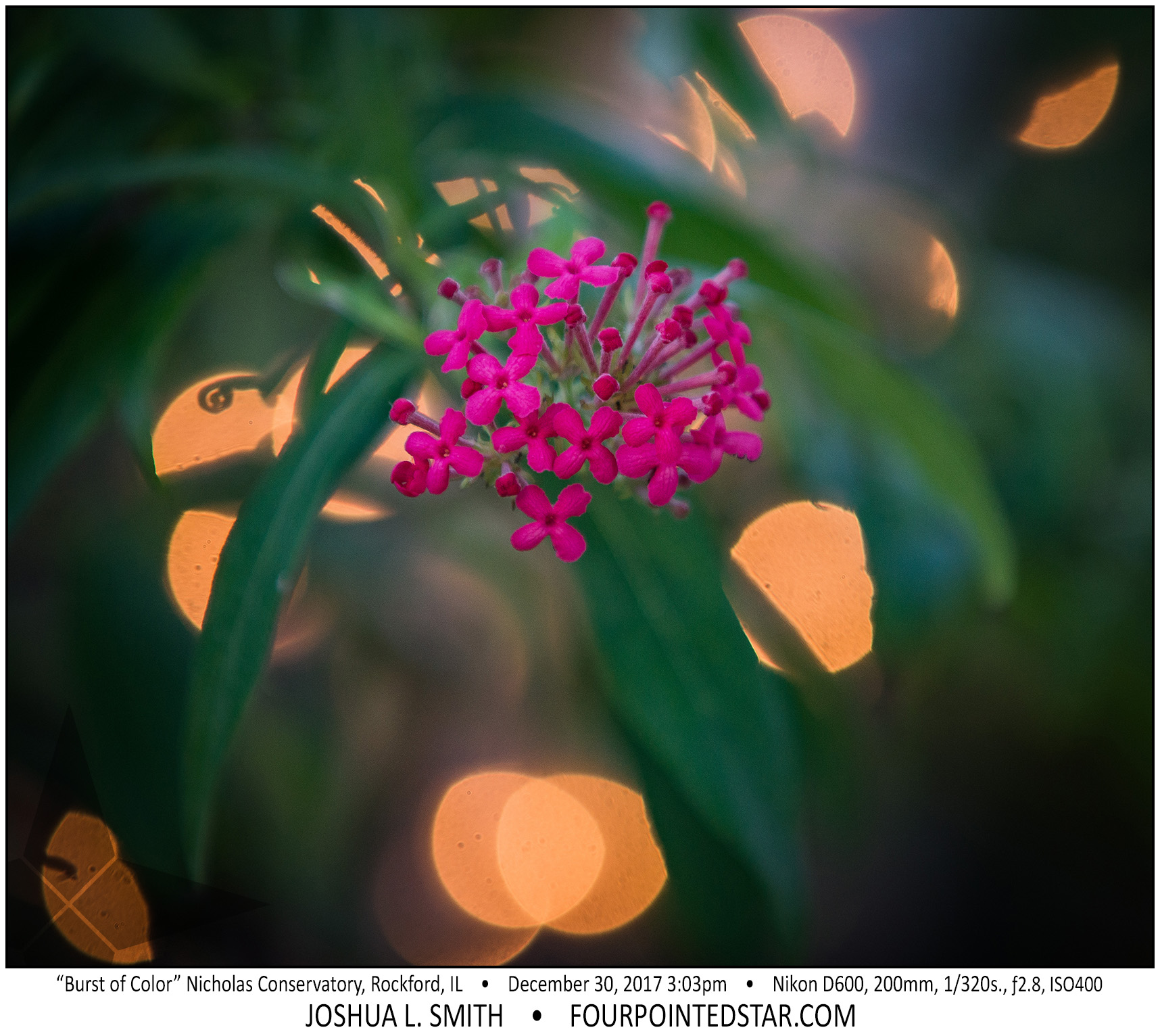 AT6184 171230 150301