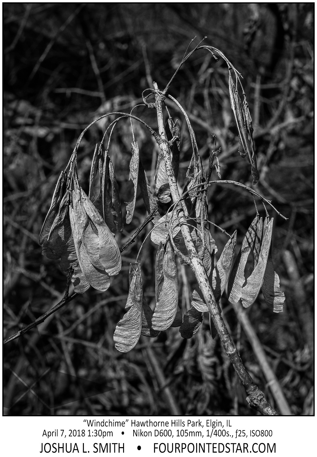 AT8654 180407 133027