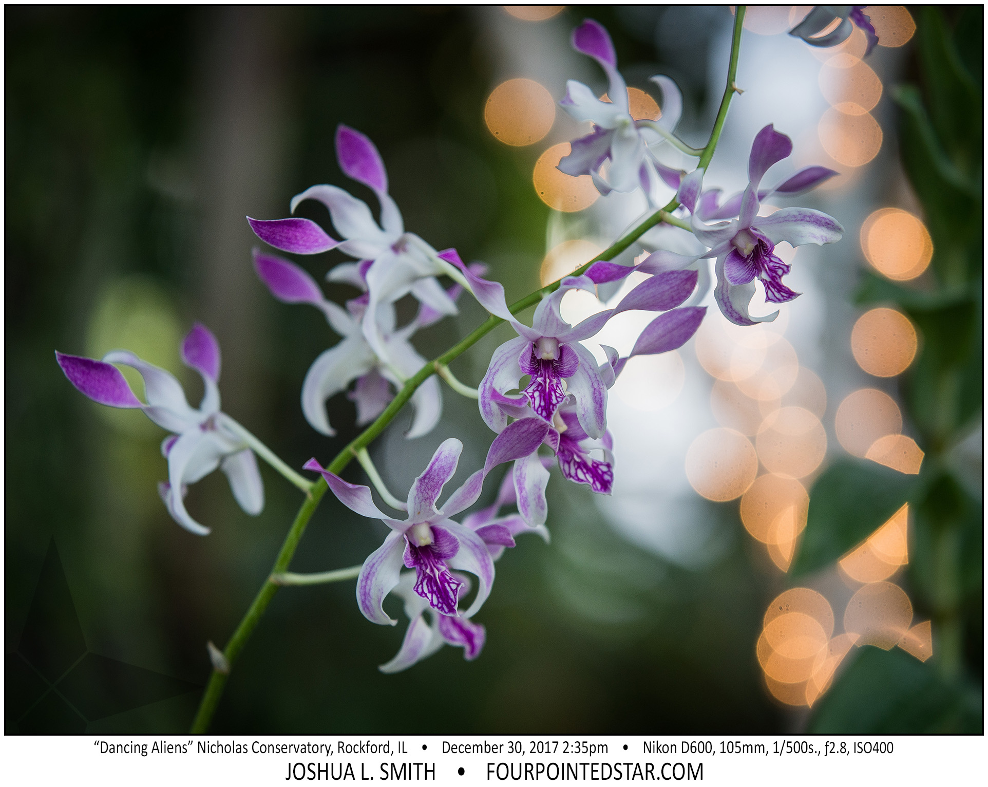 AT6078 171230 143525