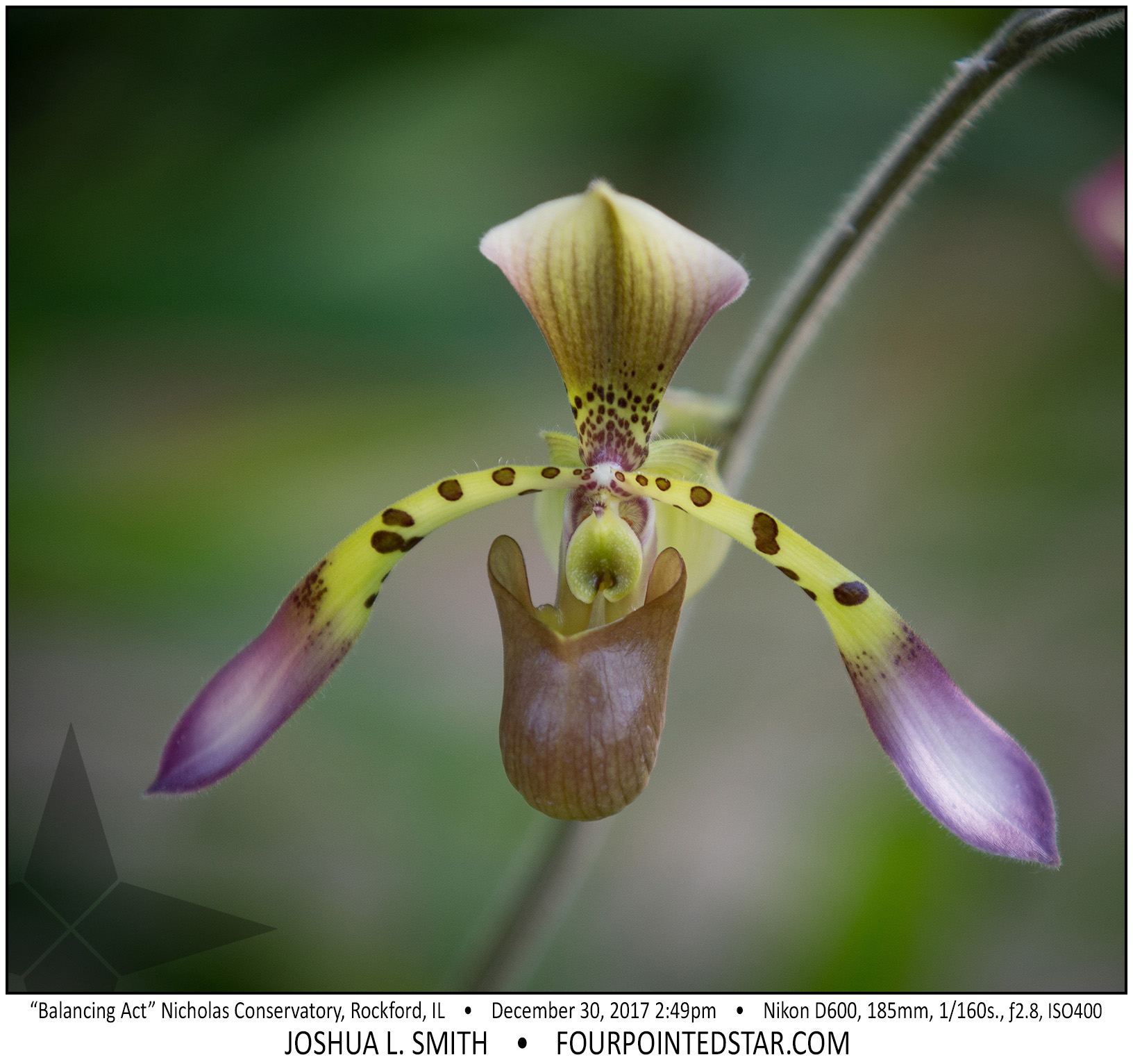 AT6129 171230 144902