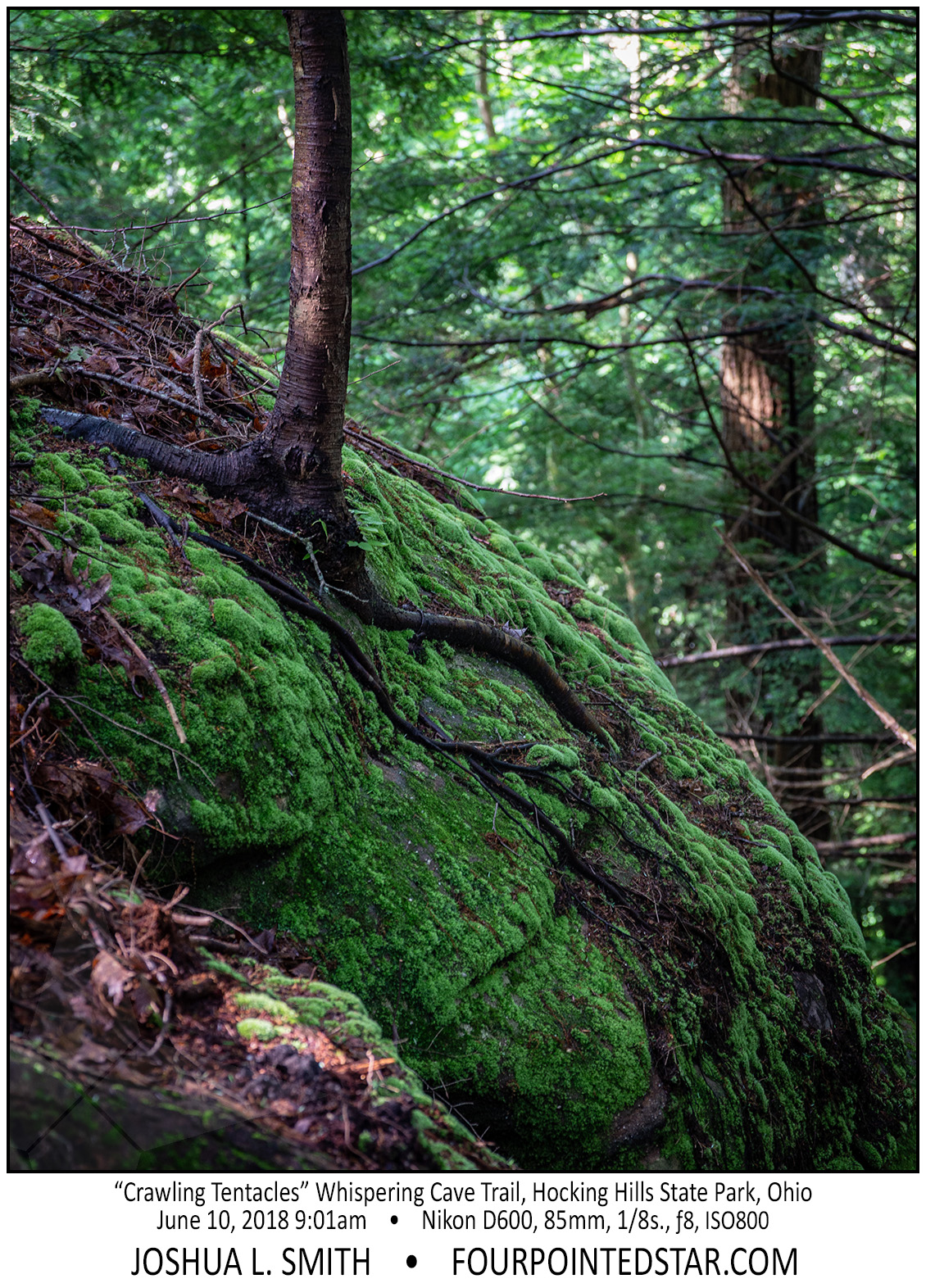 AX1378 180610 090105