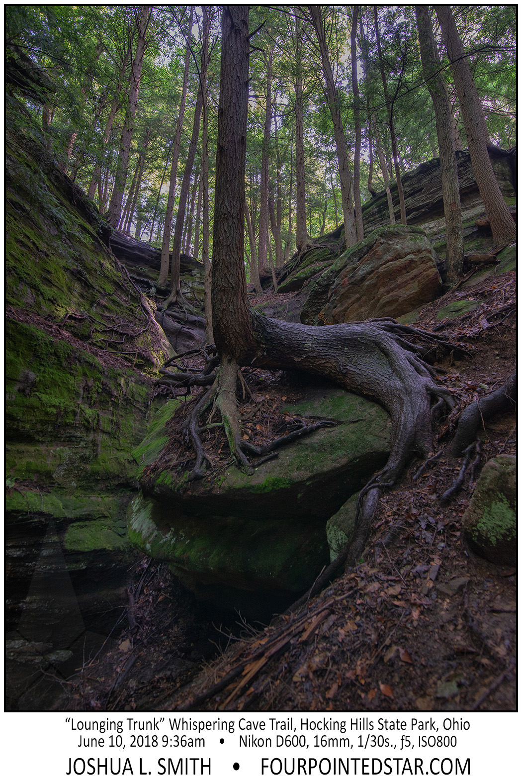 AX1580 180610 093644