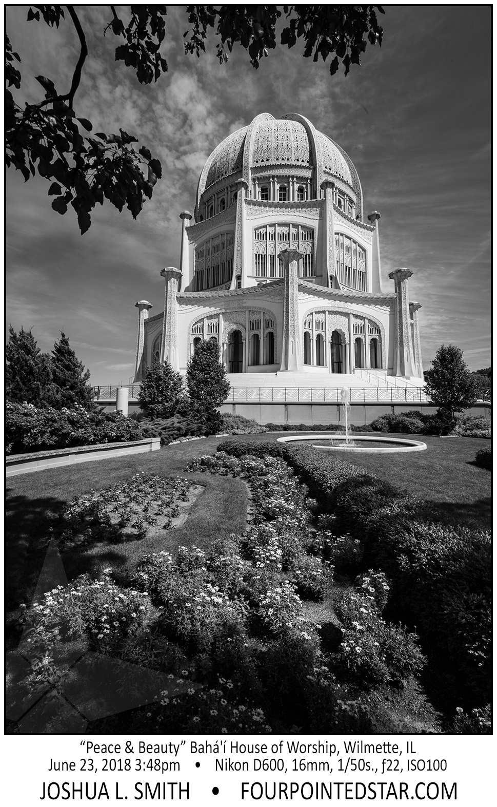 AX2645 180623 154830