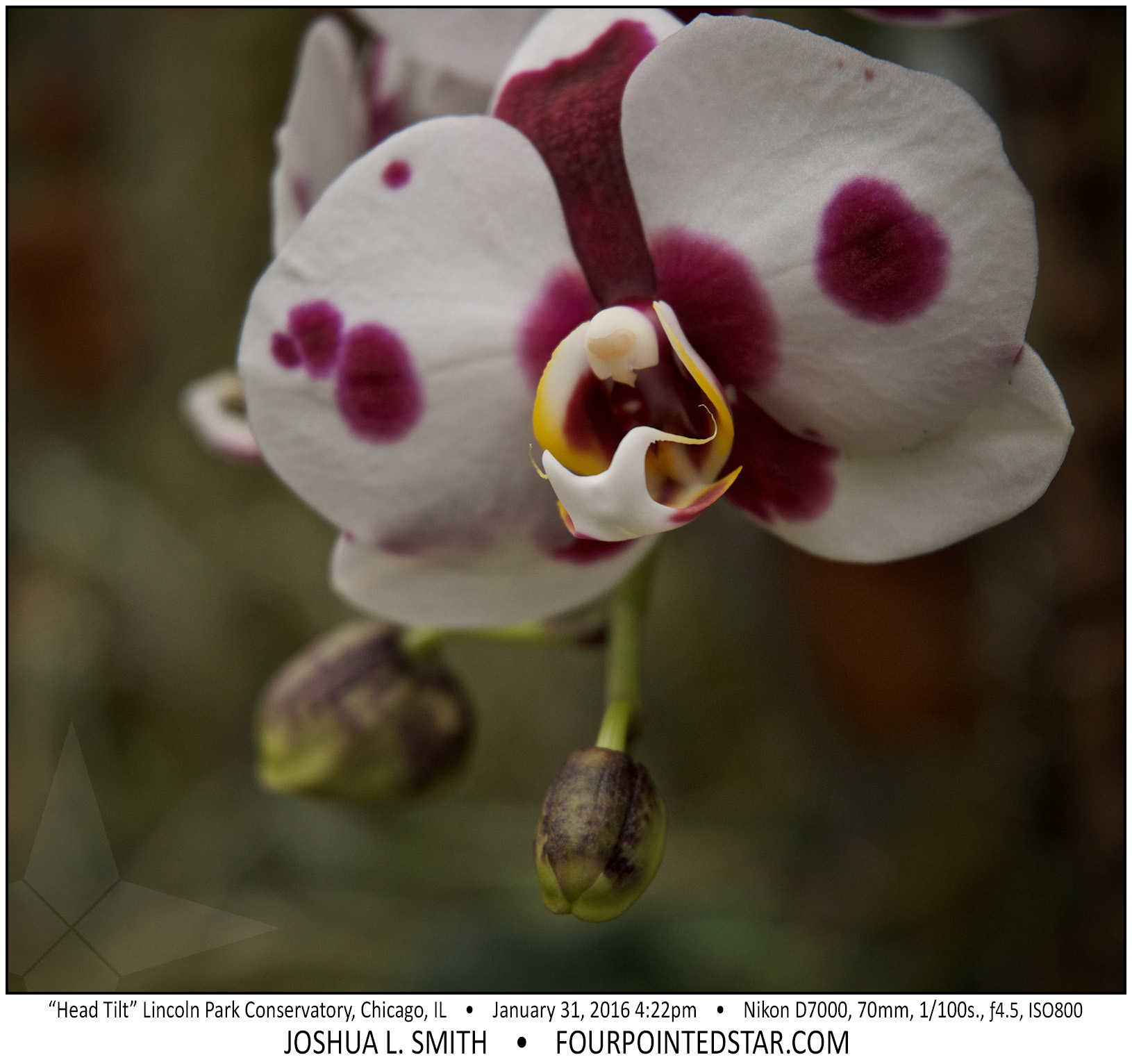 AI6987 160131 162259