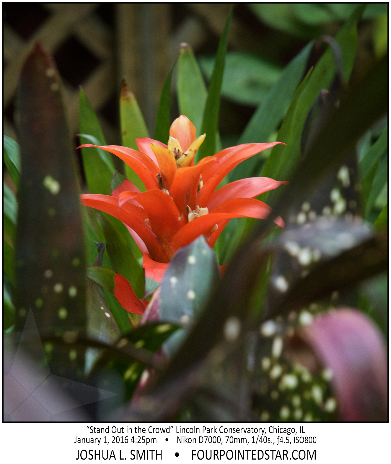 AI6993 160131 162518