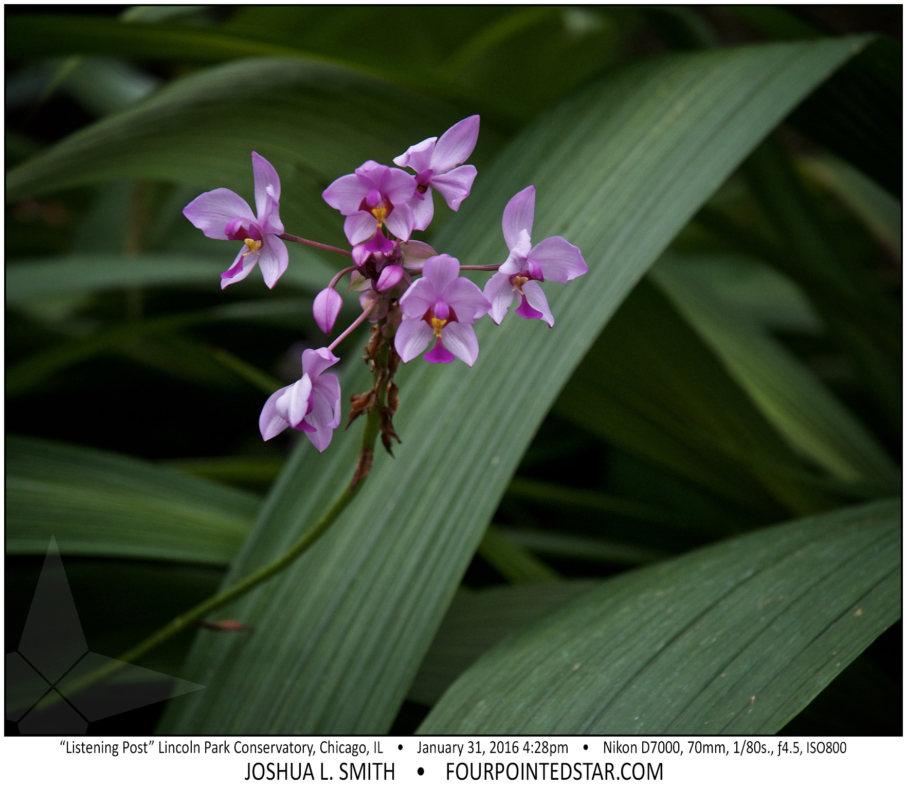 AI7002 160131 162806