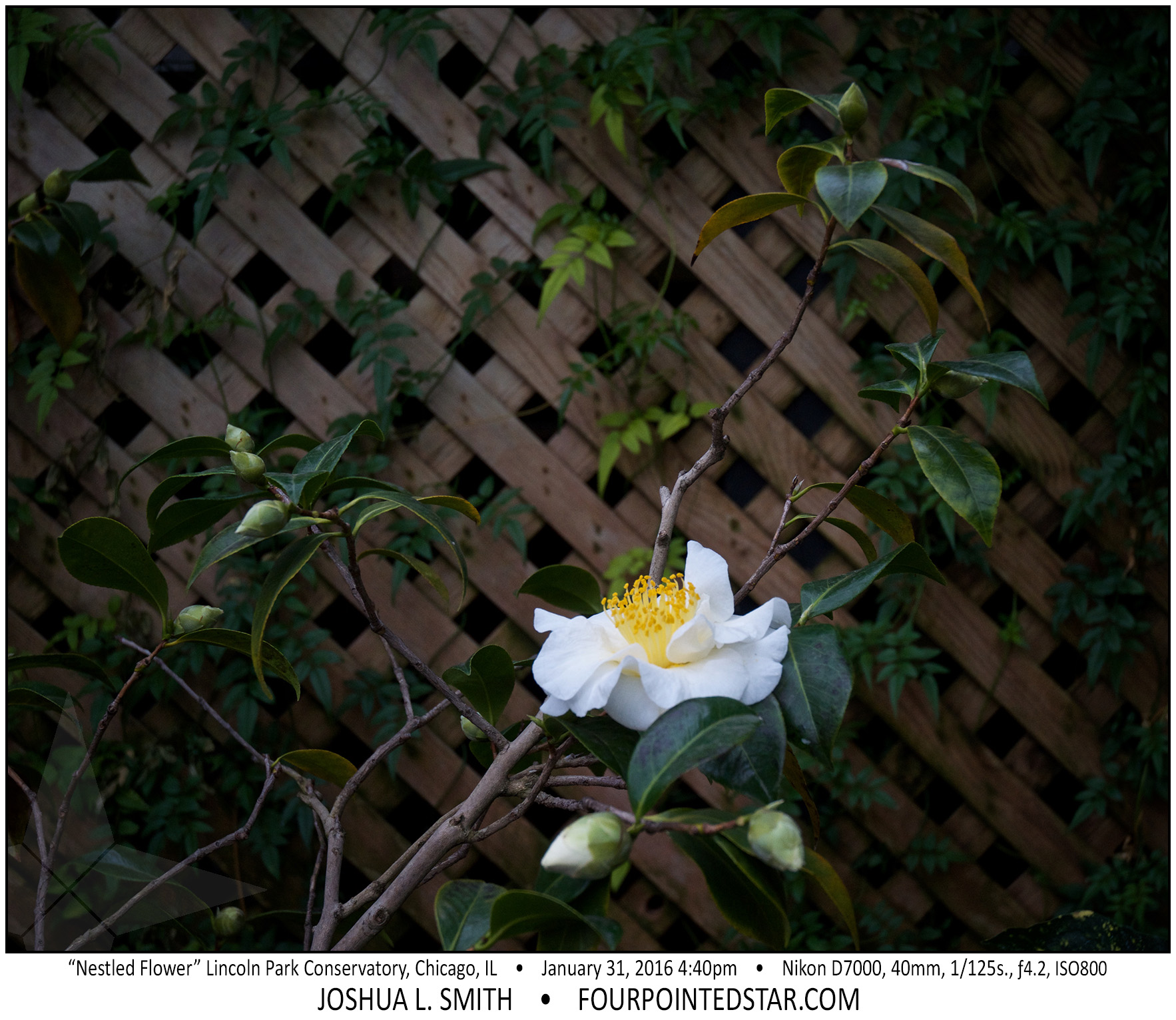 AI7023 160131 164003