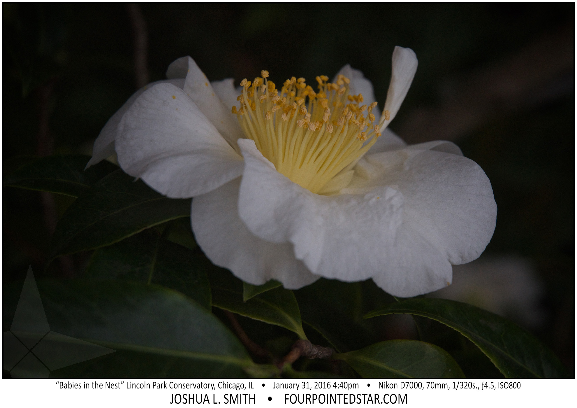 AI7029 160131 164044