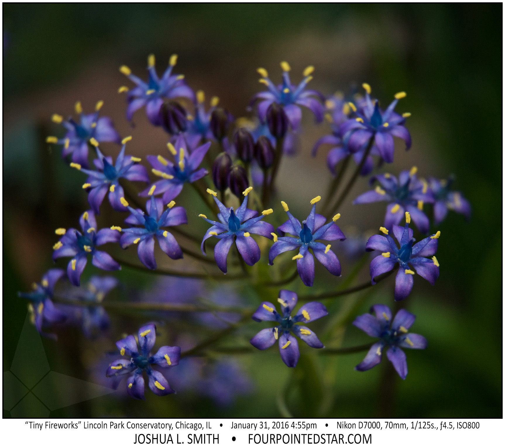 AI7038 160131 165536