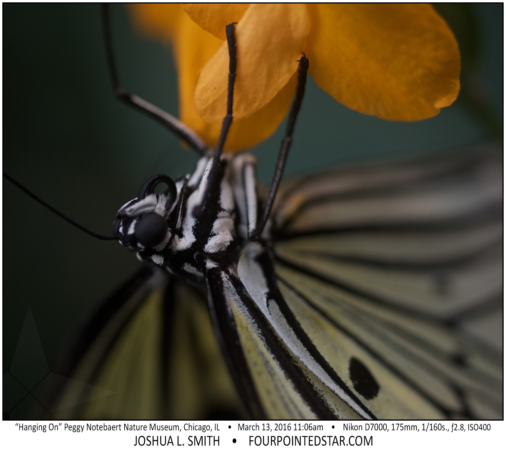 AI8308 160313 110606