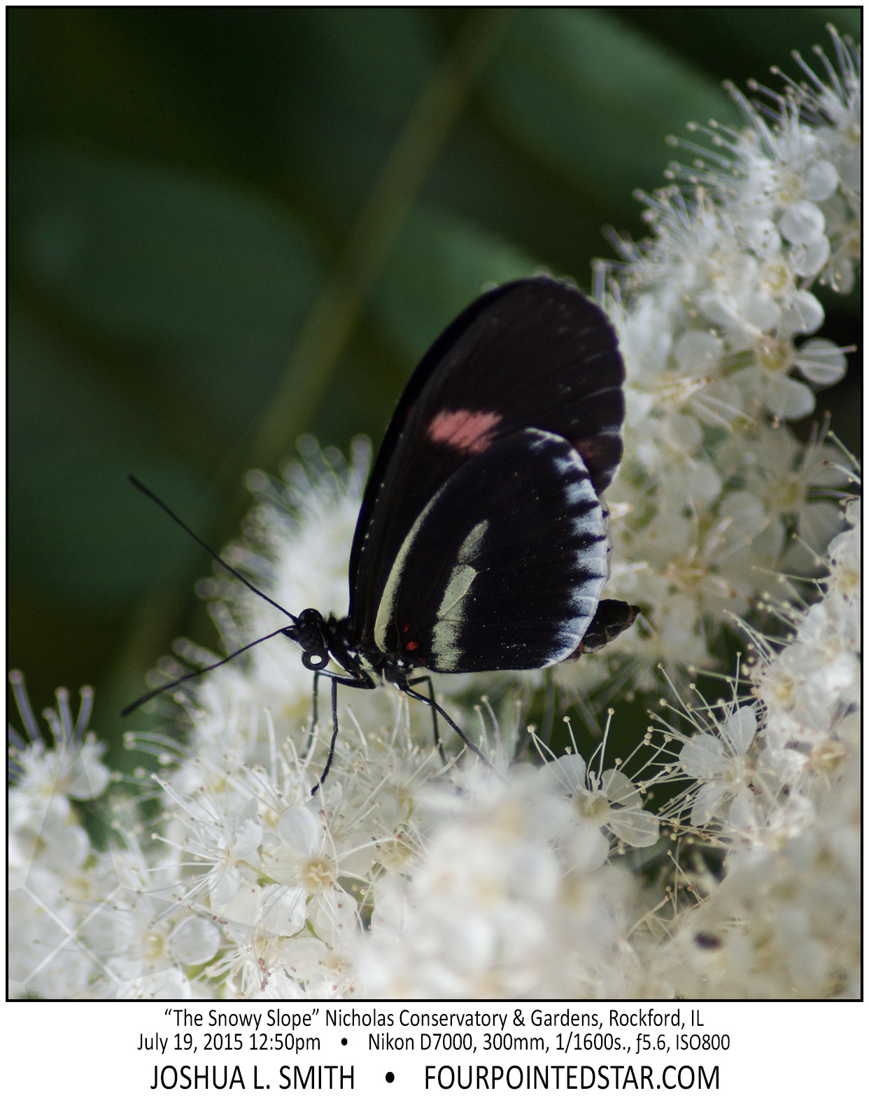 AG7333 150719 125038