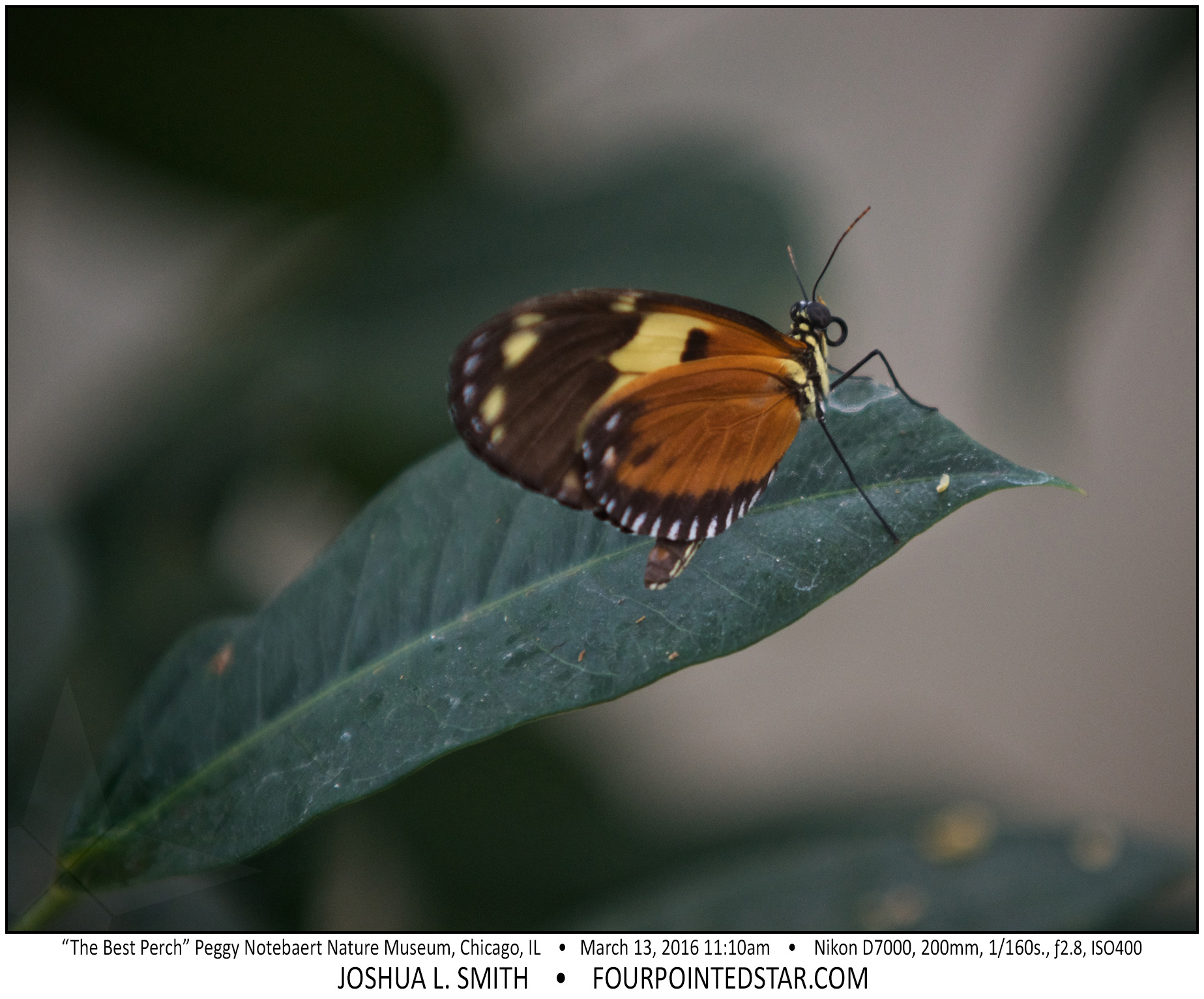 AI8186 160213 111022