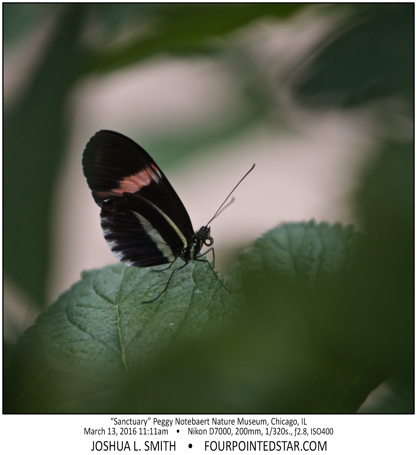 AI8195 160313 112116