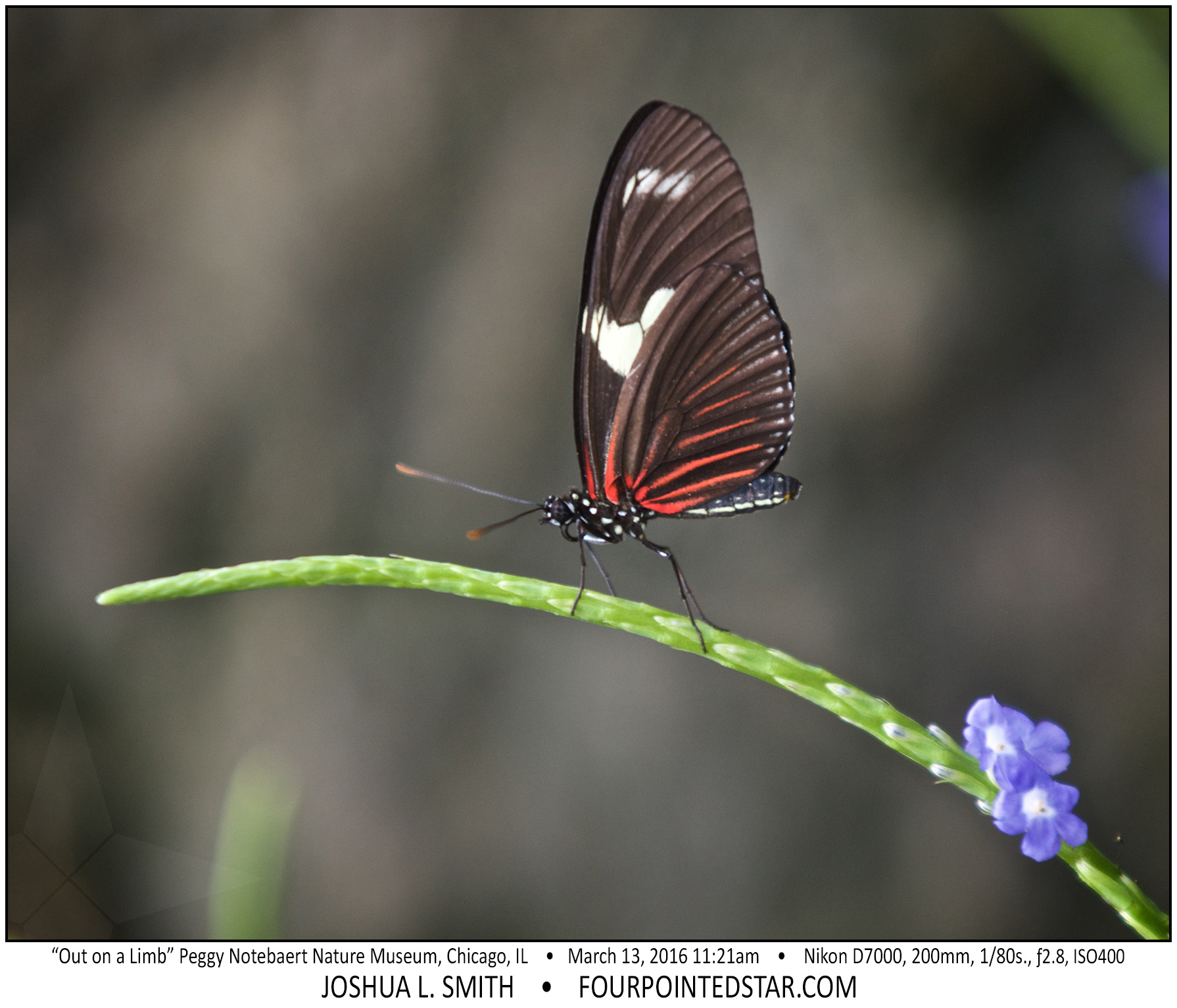 AI8249 160313 112116