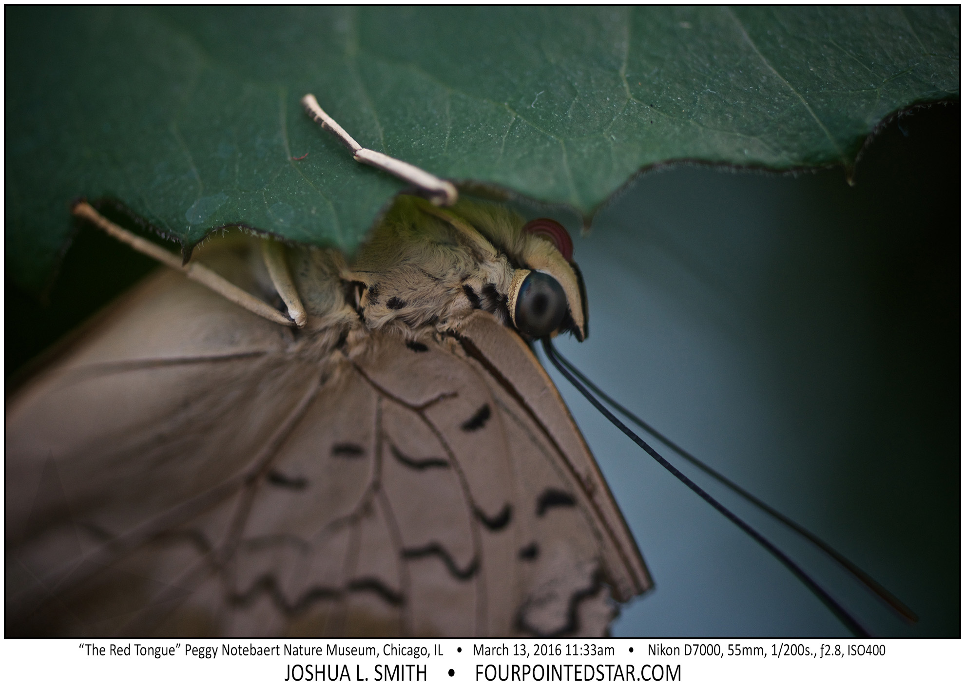 AI8287 160313 113336