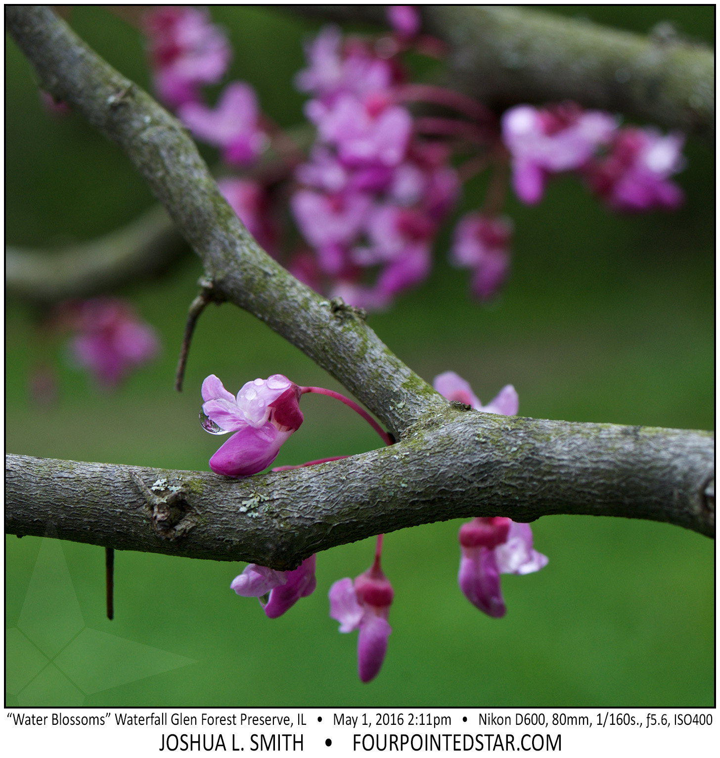 AL0971 160501 141139