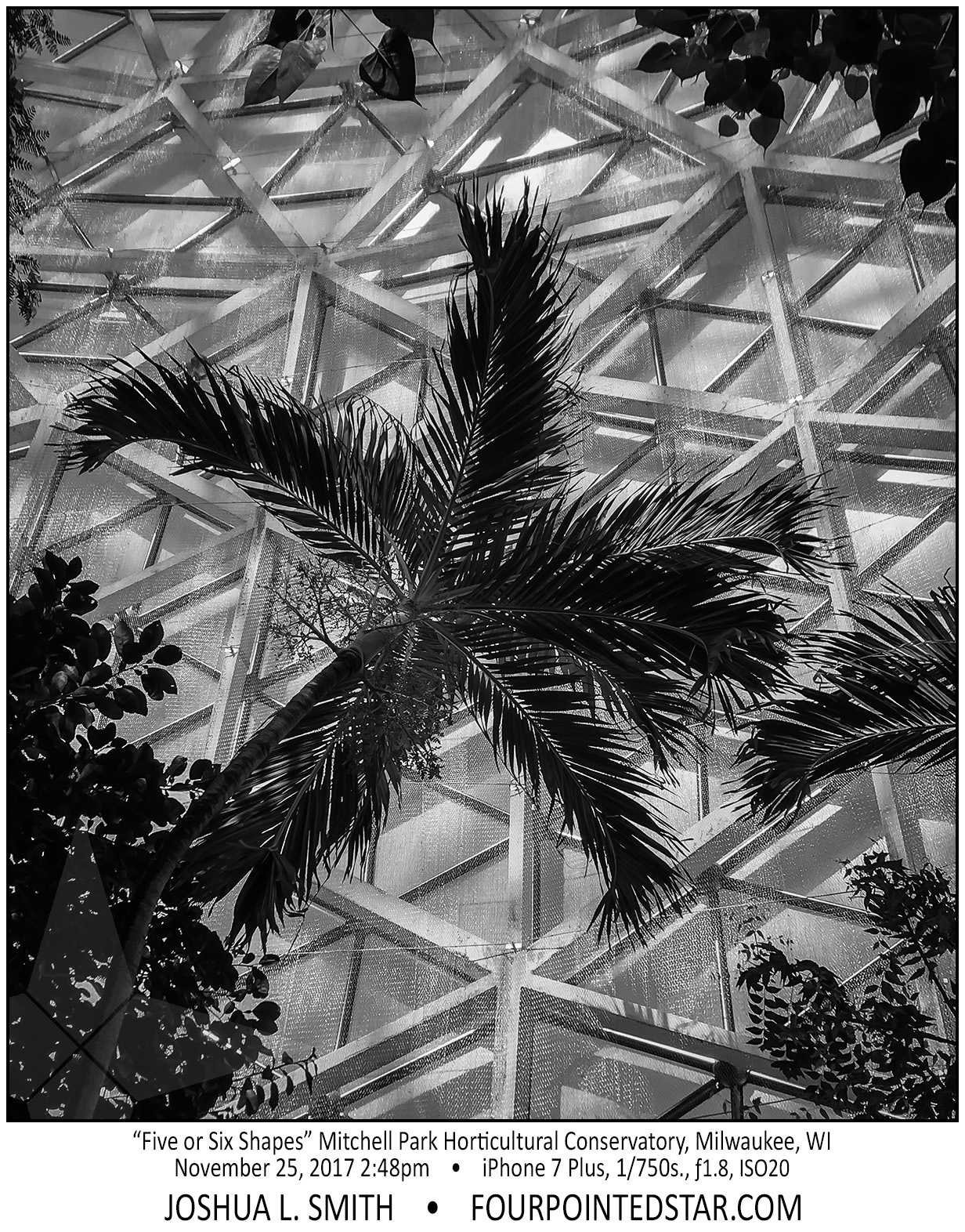 AU2645 171125 144822