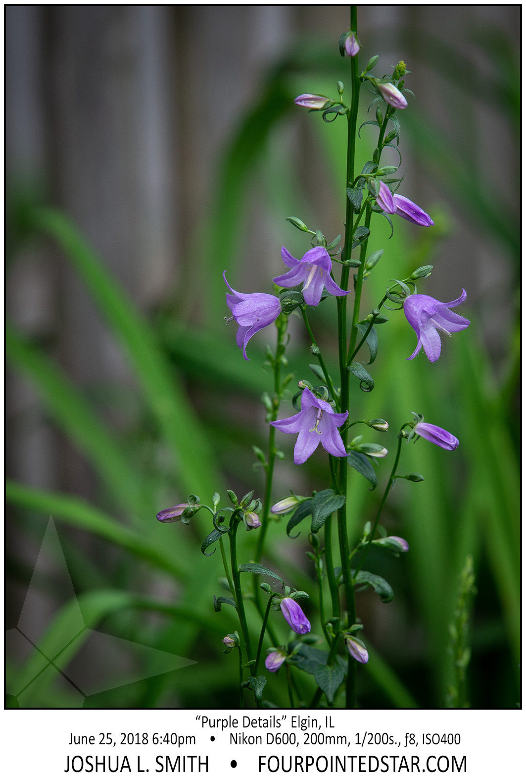 AX2733 180625 184024