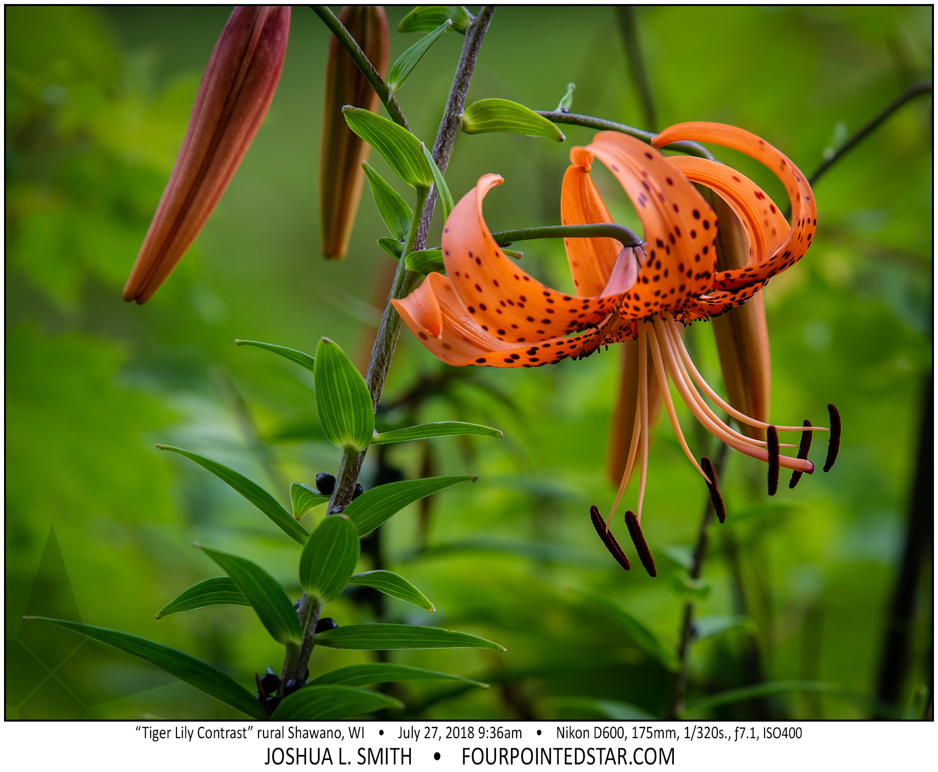 AX3989 180727 093601