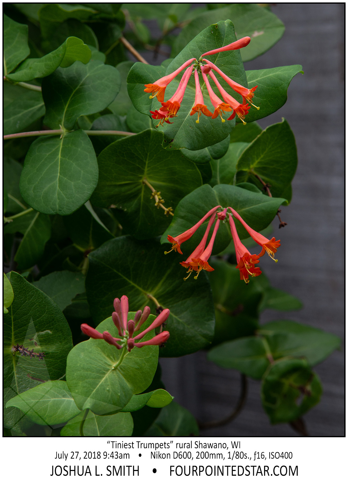 AX4047 180727 094357