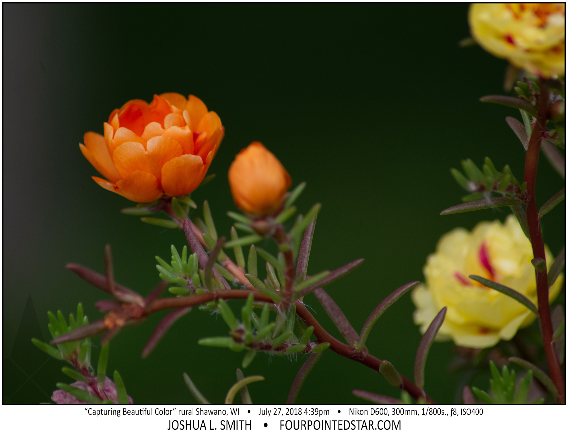 AX4290 180727 163919