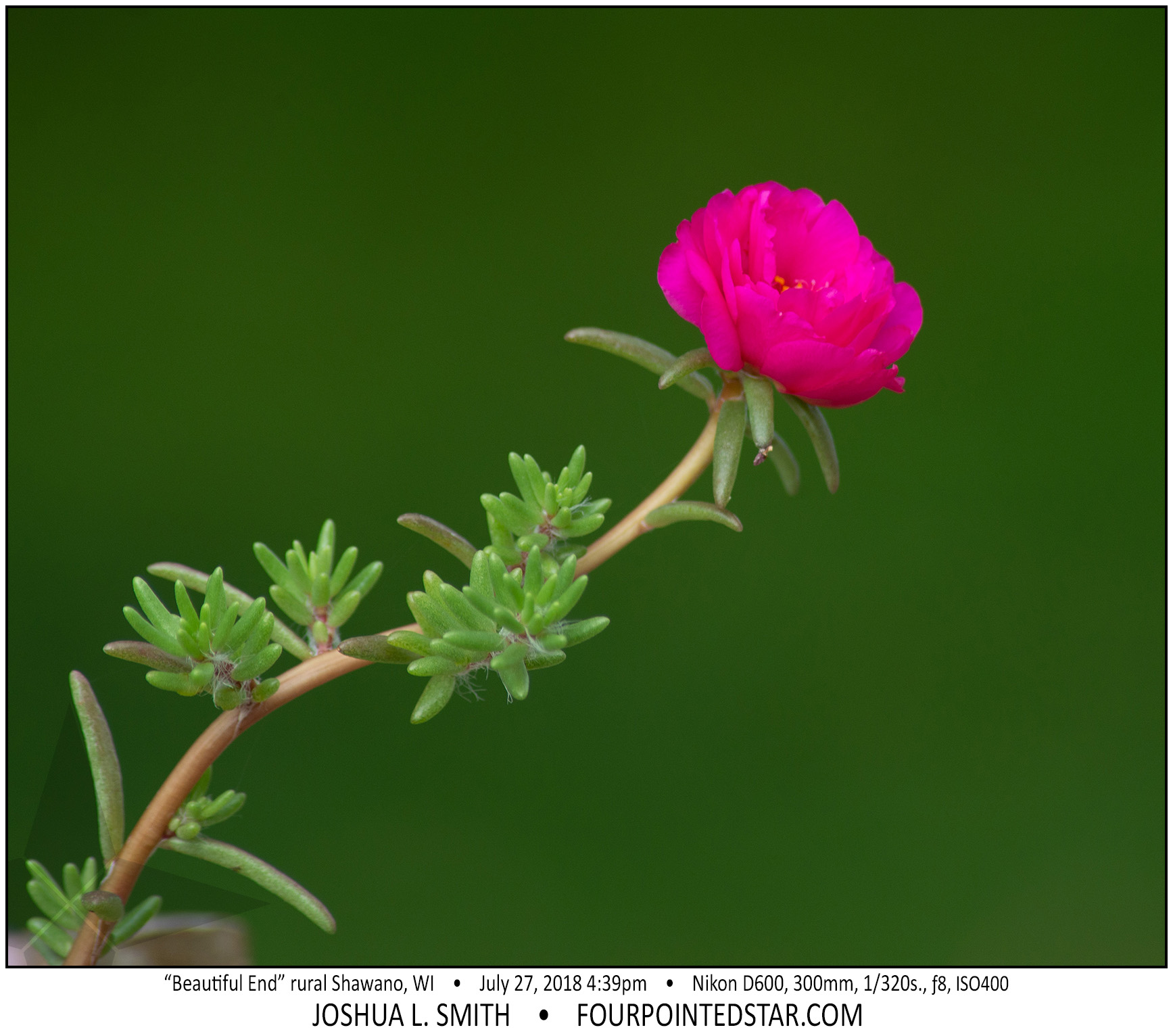 AX4299 180727 163946