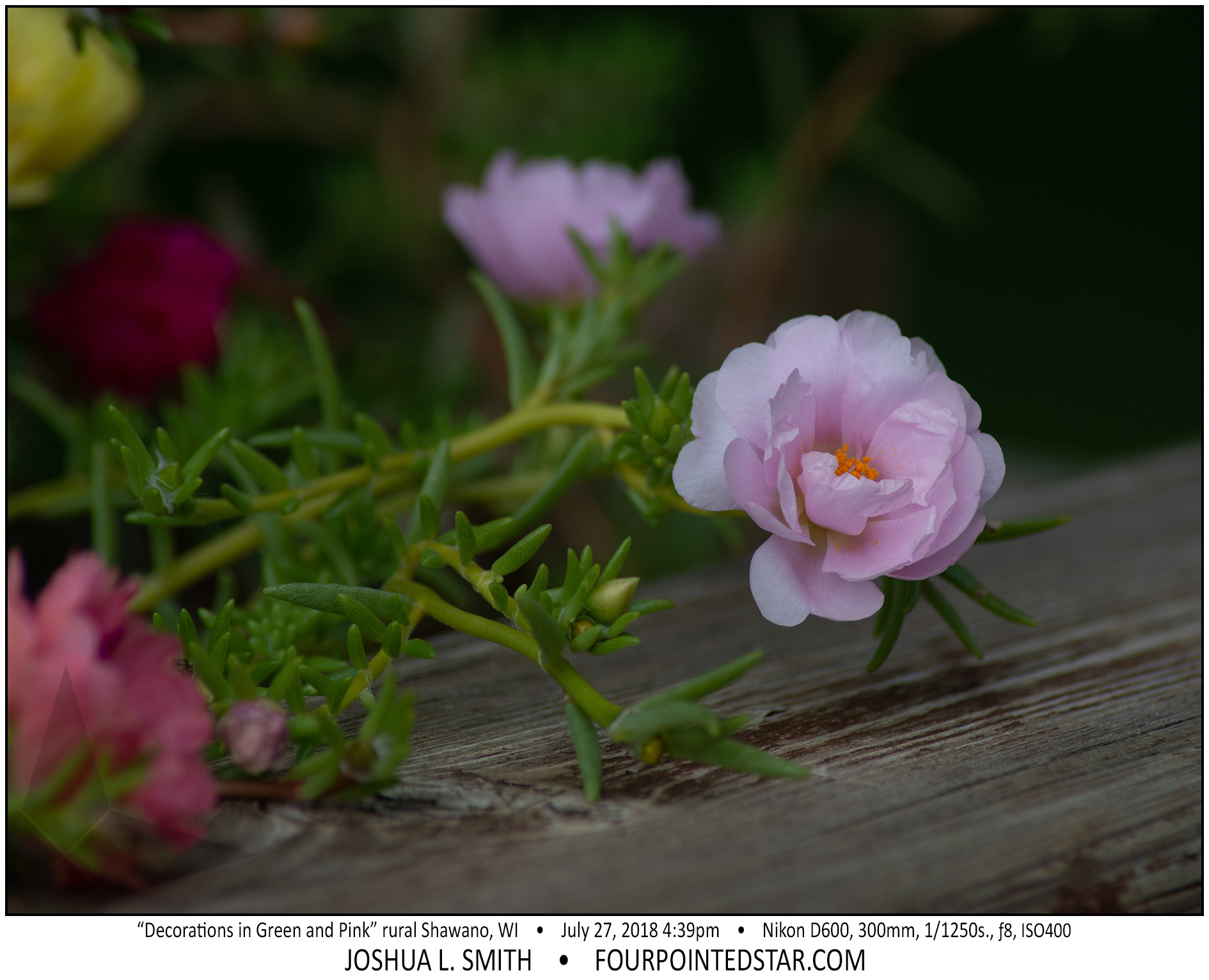 AX4302 180727 163950