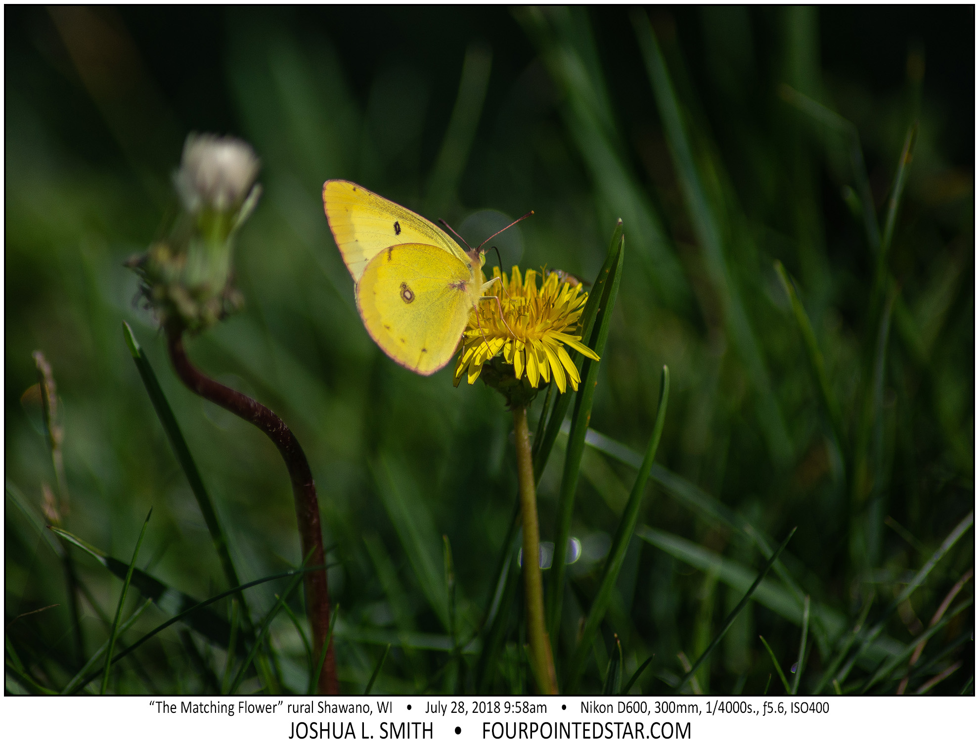 AX4344 180728 215806