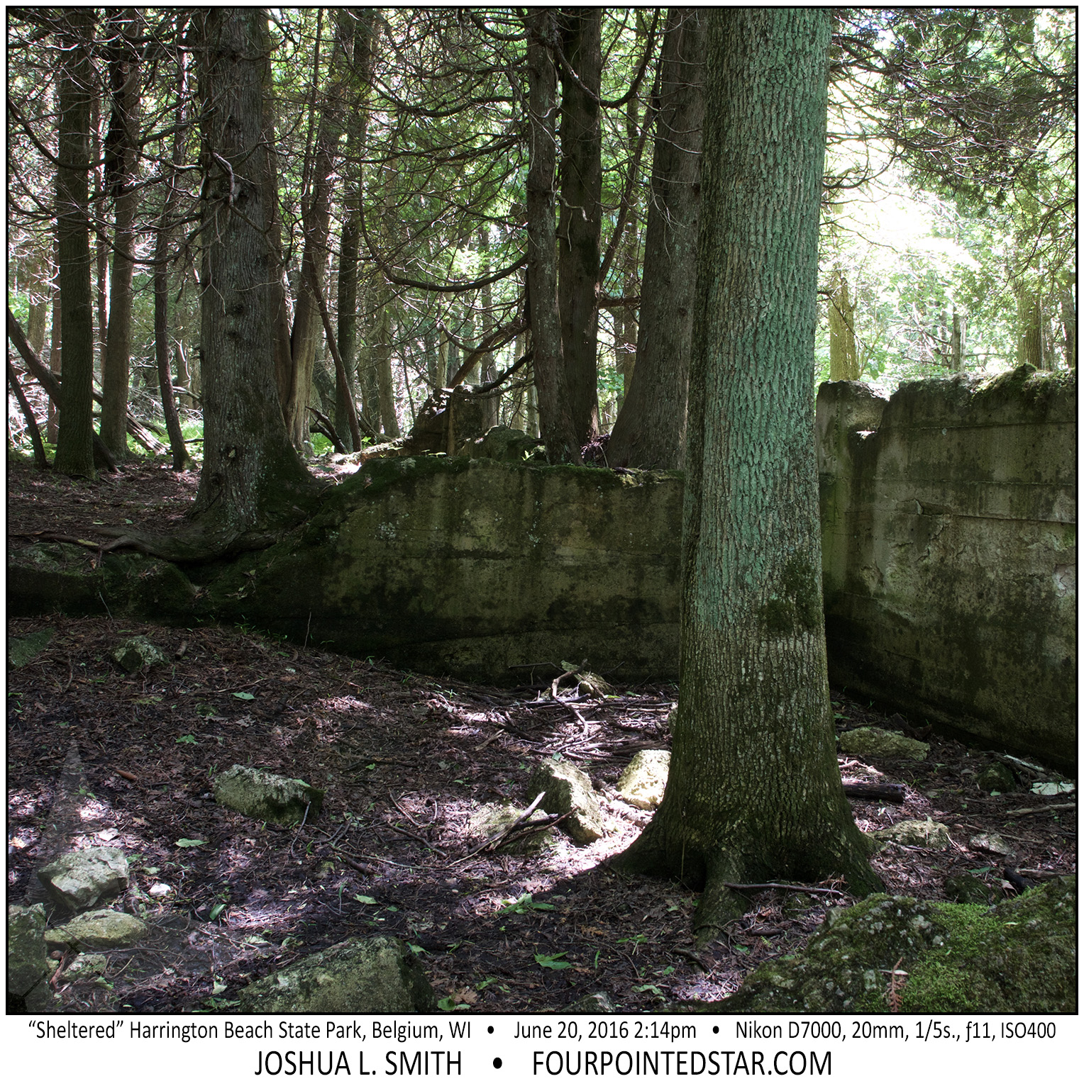 AL0119 160620 141420