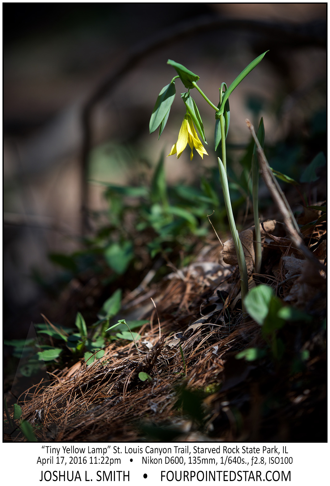 AL0354 160417 112257