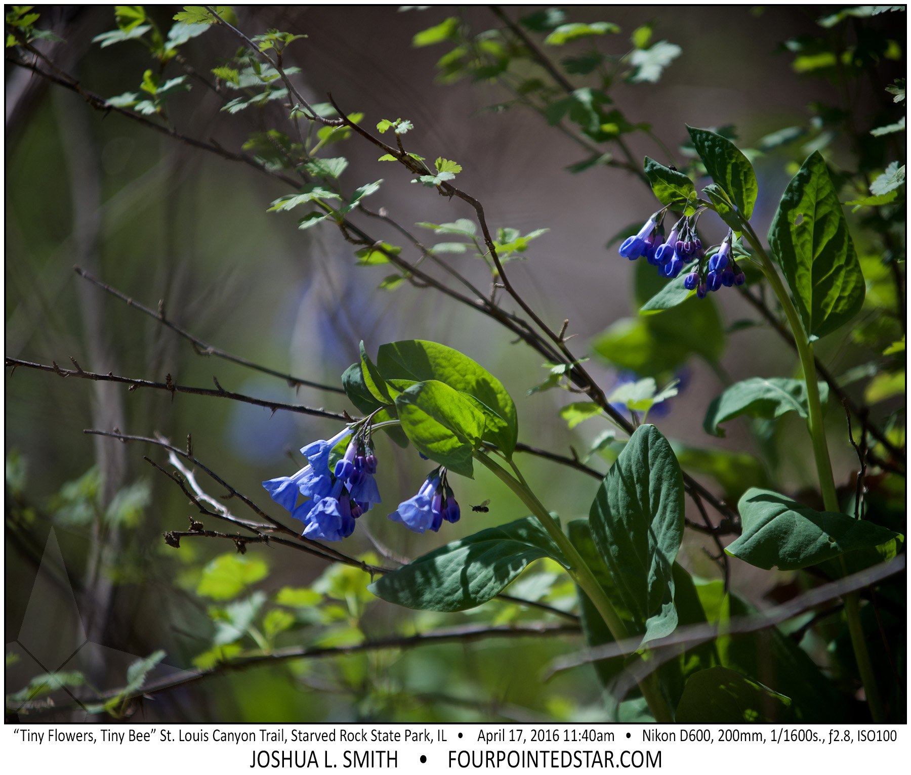 AL0360 160417 114011